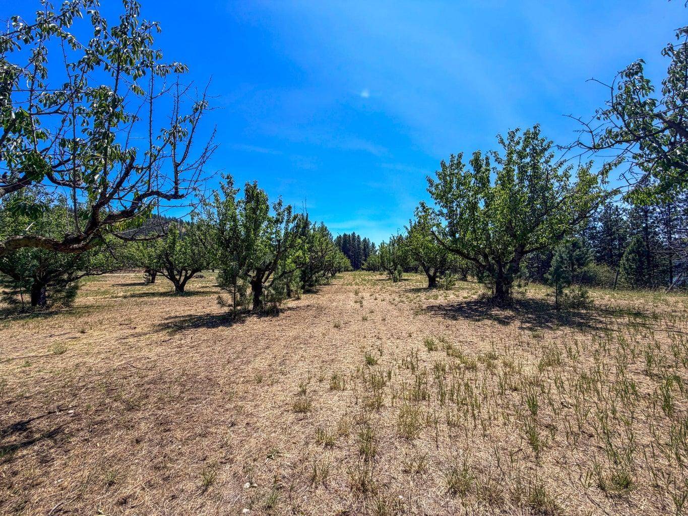 1240 Peachcrest Rd, Kettle Falls, WA 99141