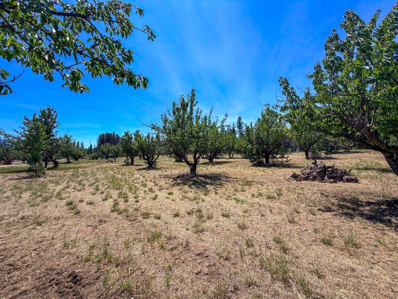 1240 Peachcrest Rd, Kettle Falls, WA 99141