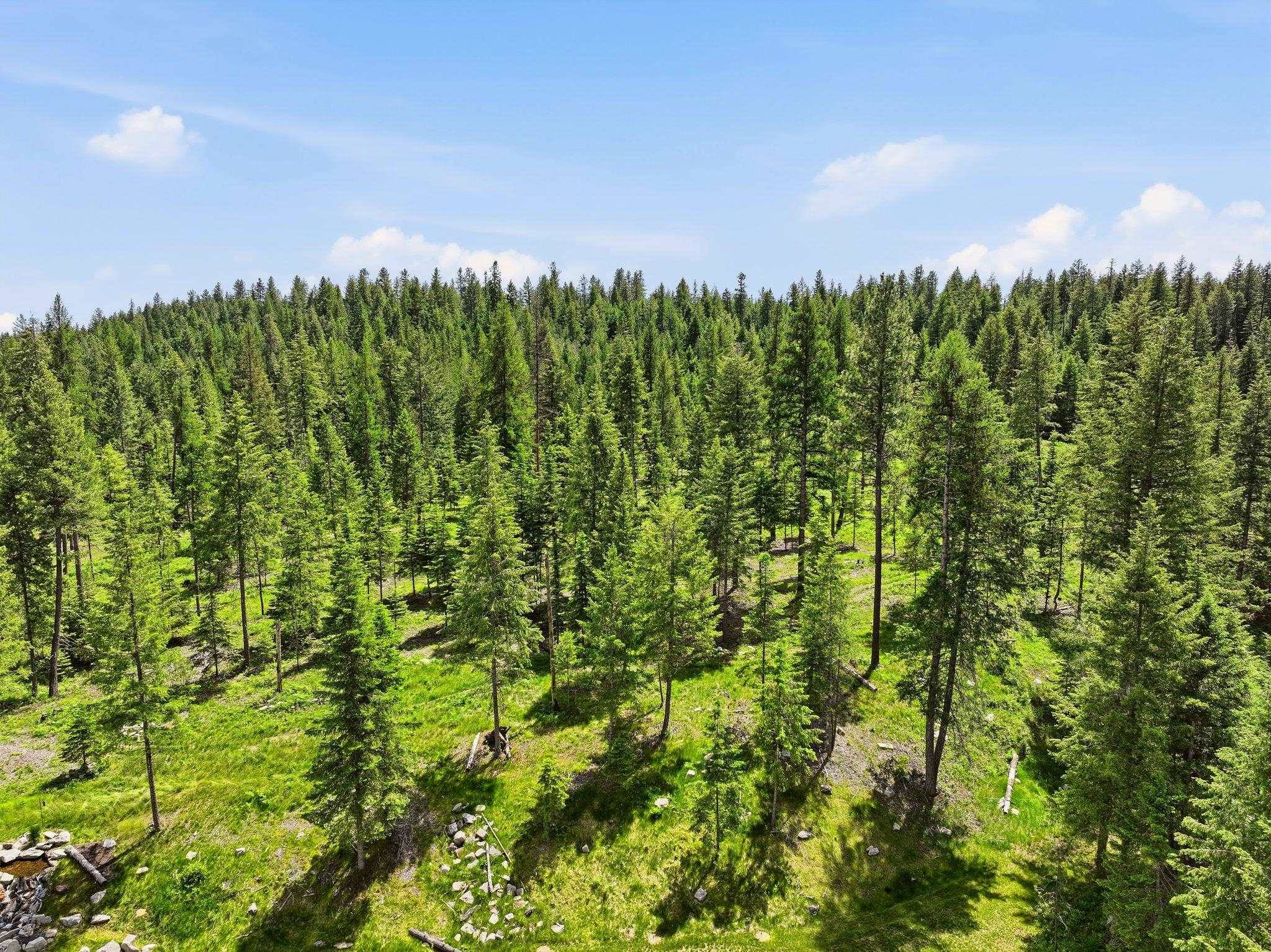 TBD E Deer Park-Milan Rd, Deer Park, WA 99006