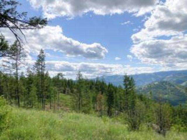 4xx R VISTA VIEW Ln, Kettle Falls, WA 99138-9941