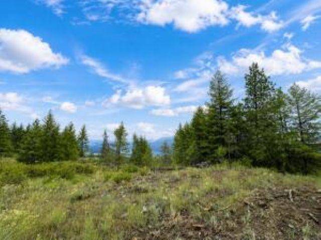 4xx R VISTA VIEW Ln, Kettle Falls, WA 99138-9941