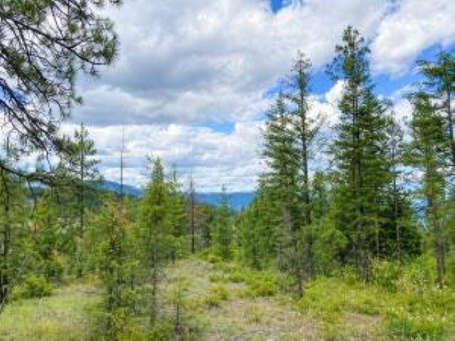 4xx R VISTA VIEW Ln, Kettle Falls, WA 99138-9941