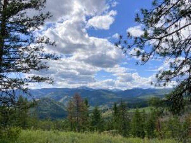 4xx R VISTA VIEW Ln, Kettle Falls, WA 99138-9941