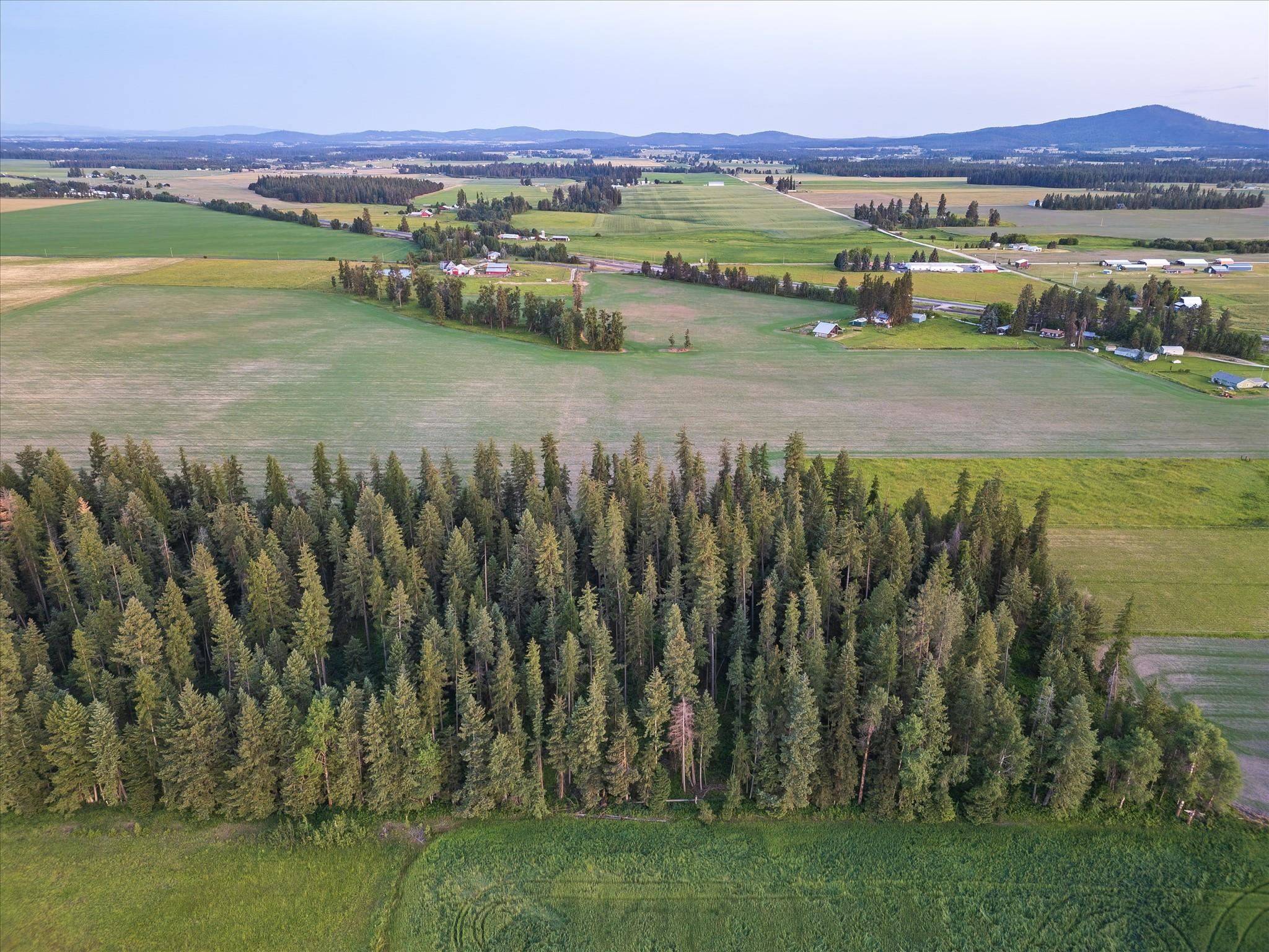 NKA Furze (Lot 3) Rd #Lot 3, Clayton, WA 99110