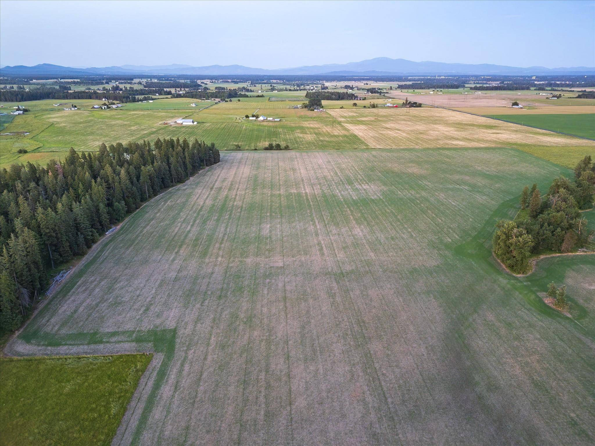 NKA Furze (Lot 4) Rd #Lot 4, Clayton, WA 99110