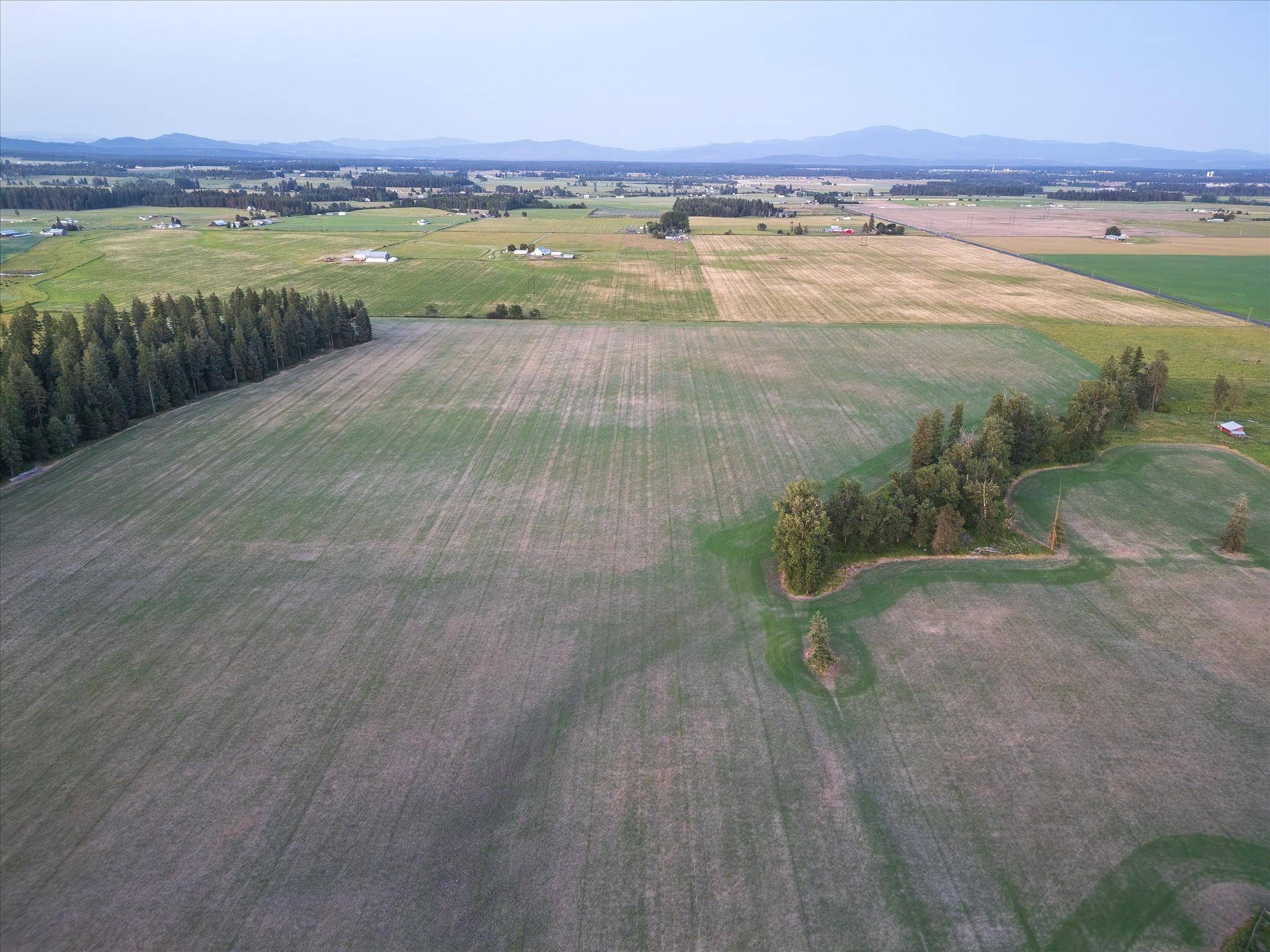 NKA Wallbridge (Lot 11) Rd #Lot 11, Clayton, WA 99110