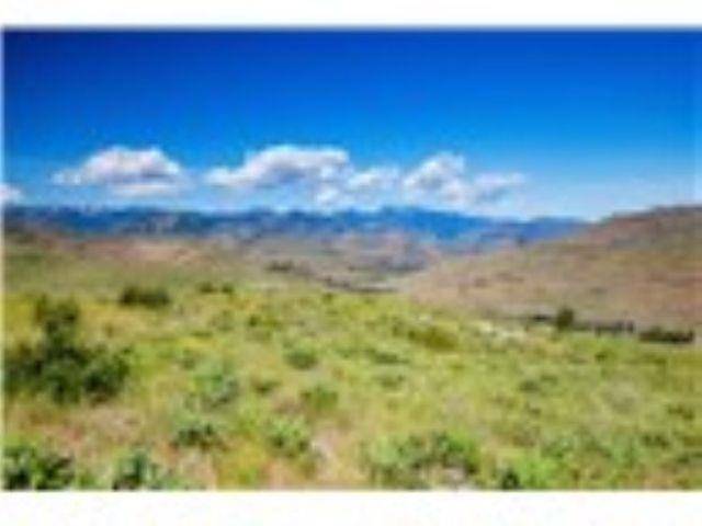 xxx Sawtooth View Rd, Methow, WA 98834