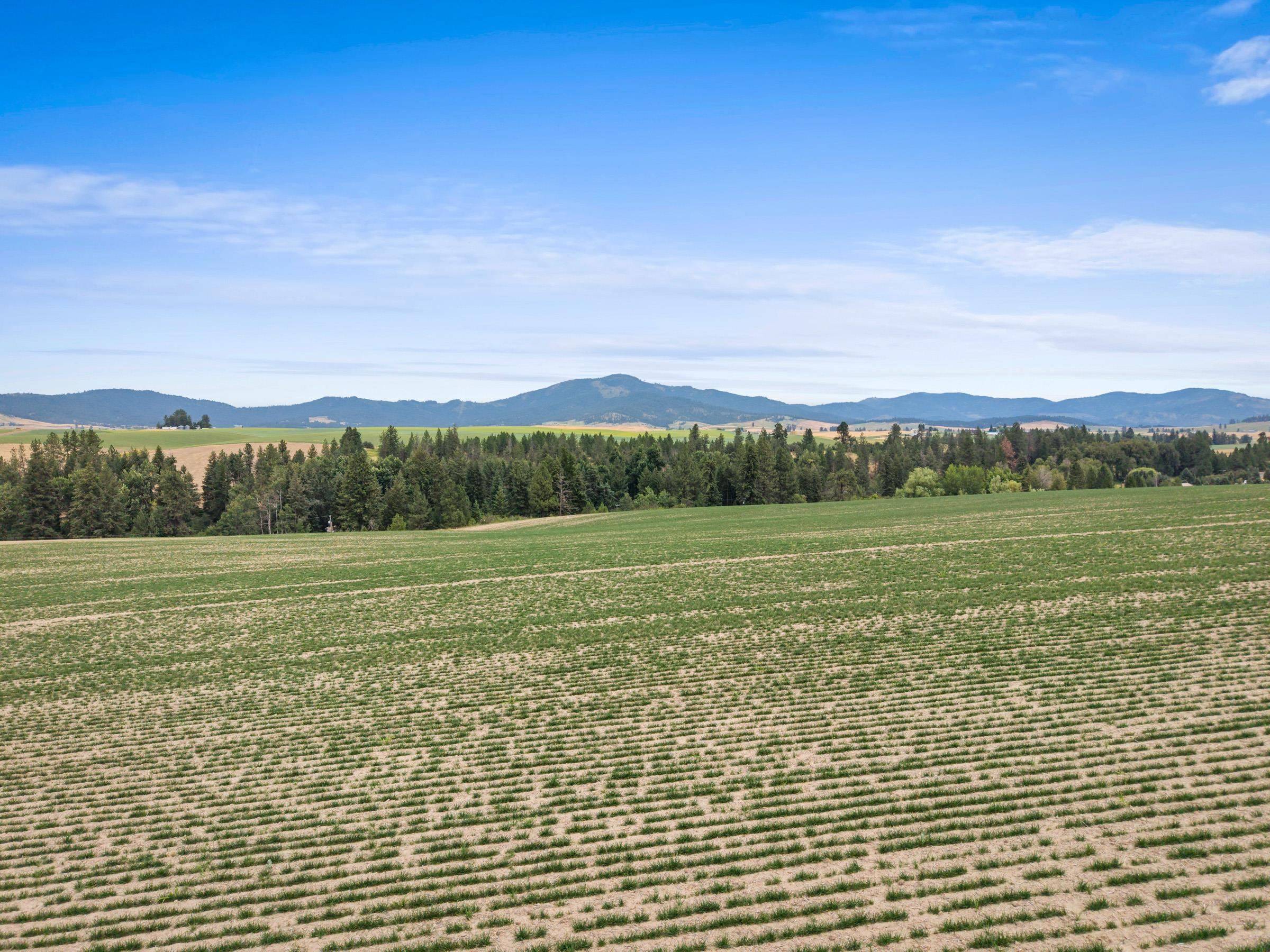 XXXX E Toll Rd, Rockford, WA 99030