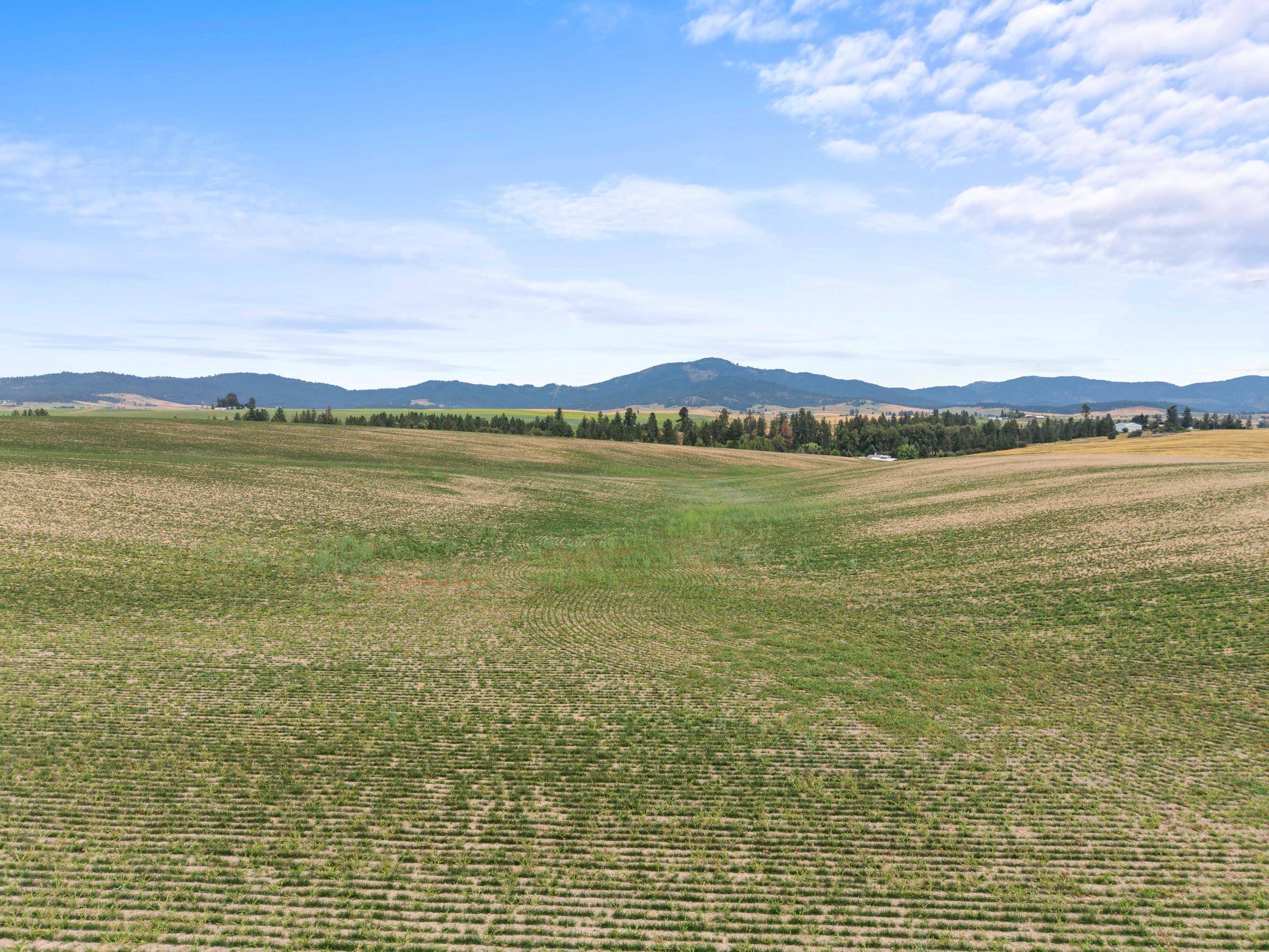 XXXX E Toll Rd, Rockford, WA 99030