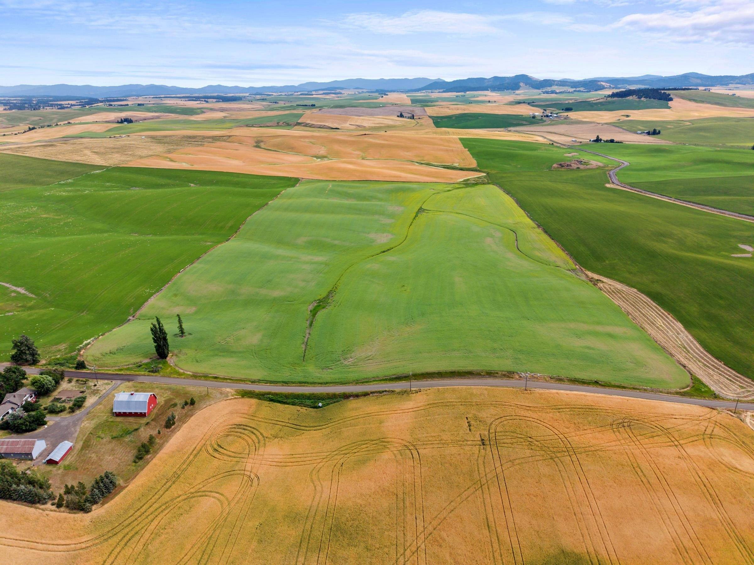XXXX S Harvard Rd, Fairfield, WA 99012