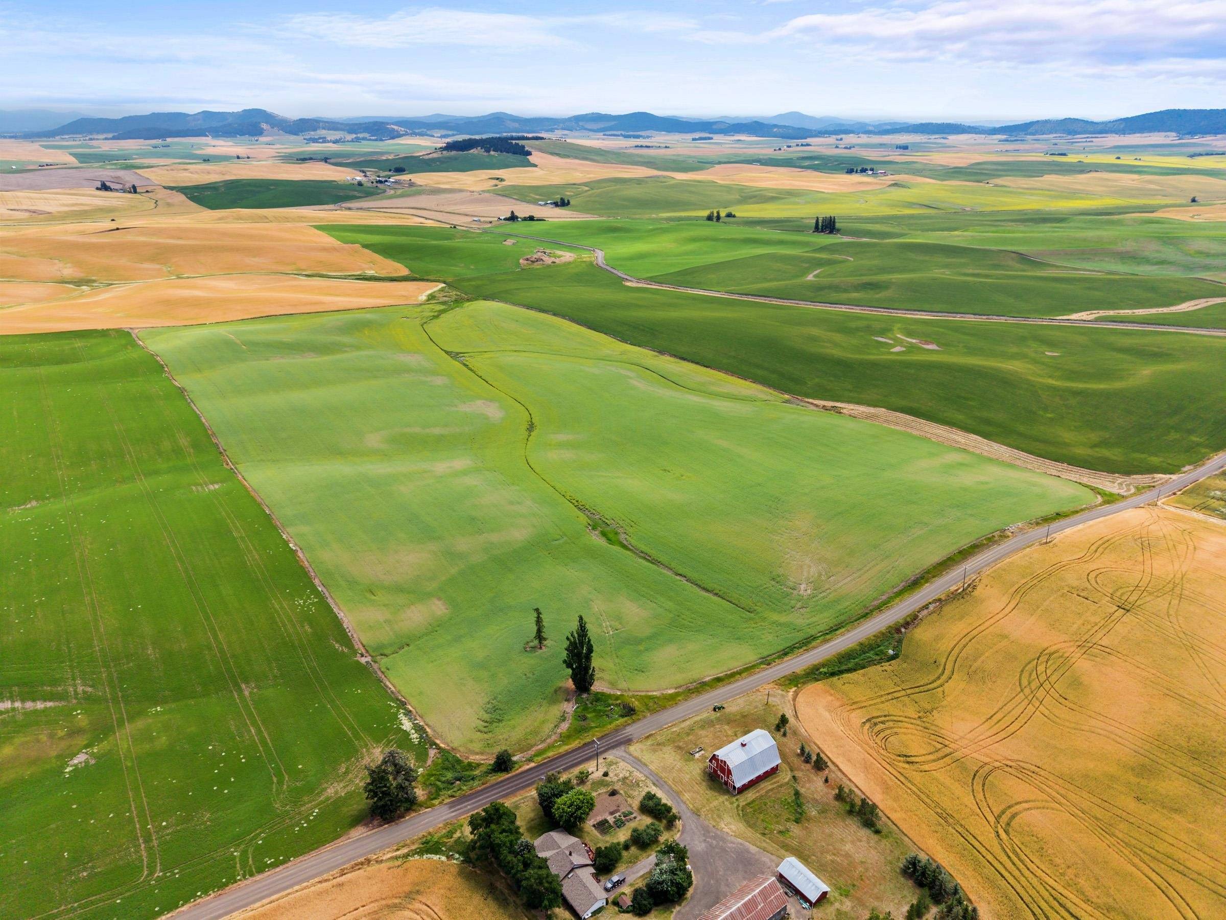 XXXX S Harvard Rd, Fairfield, WA 99012