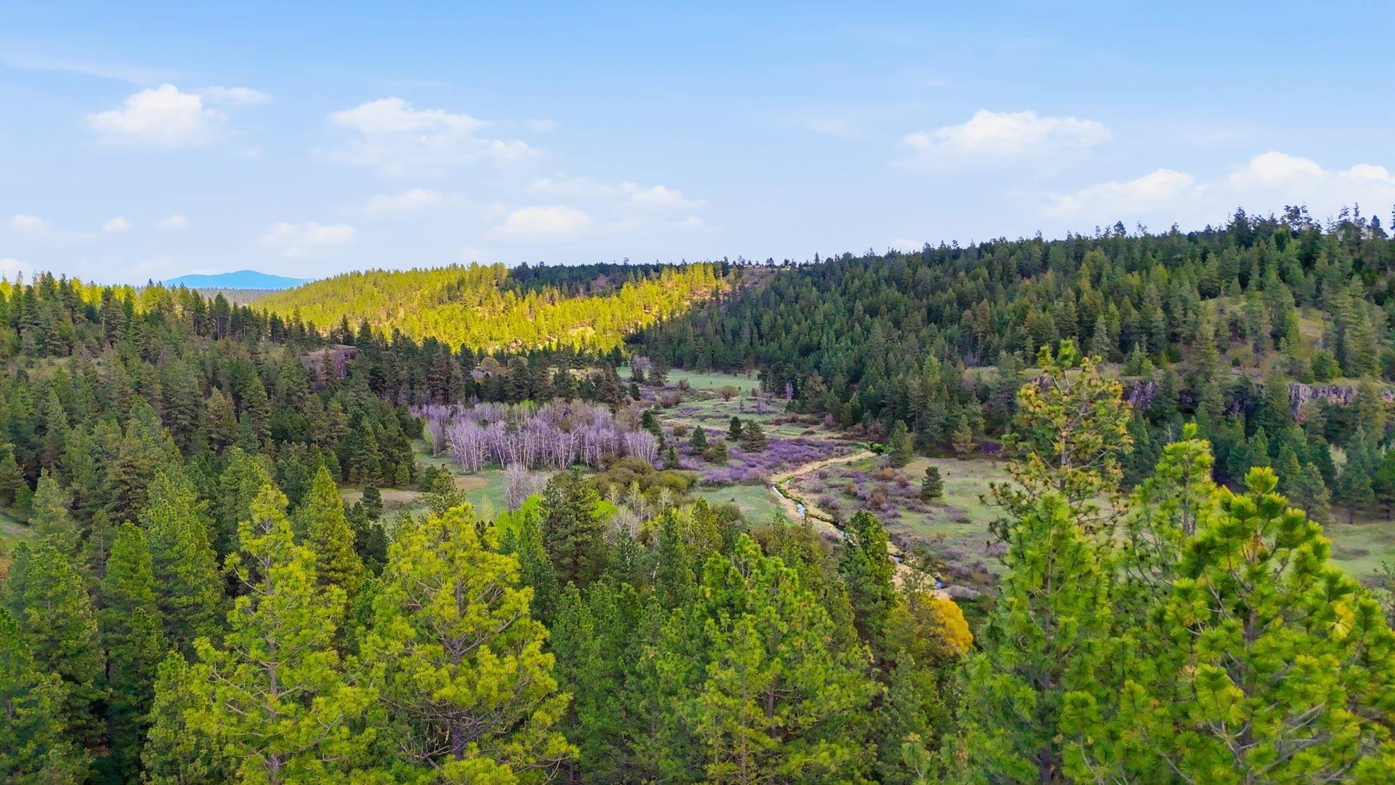 00 N Chris Ln, Medical Lake, WA 99022