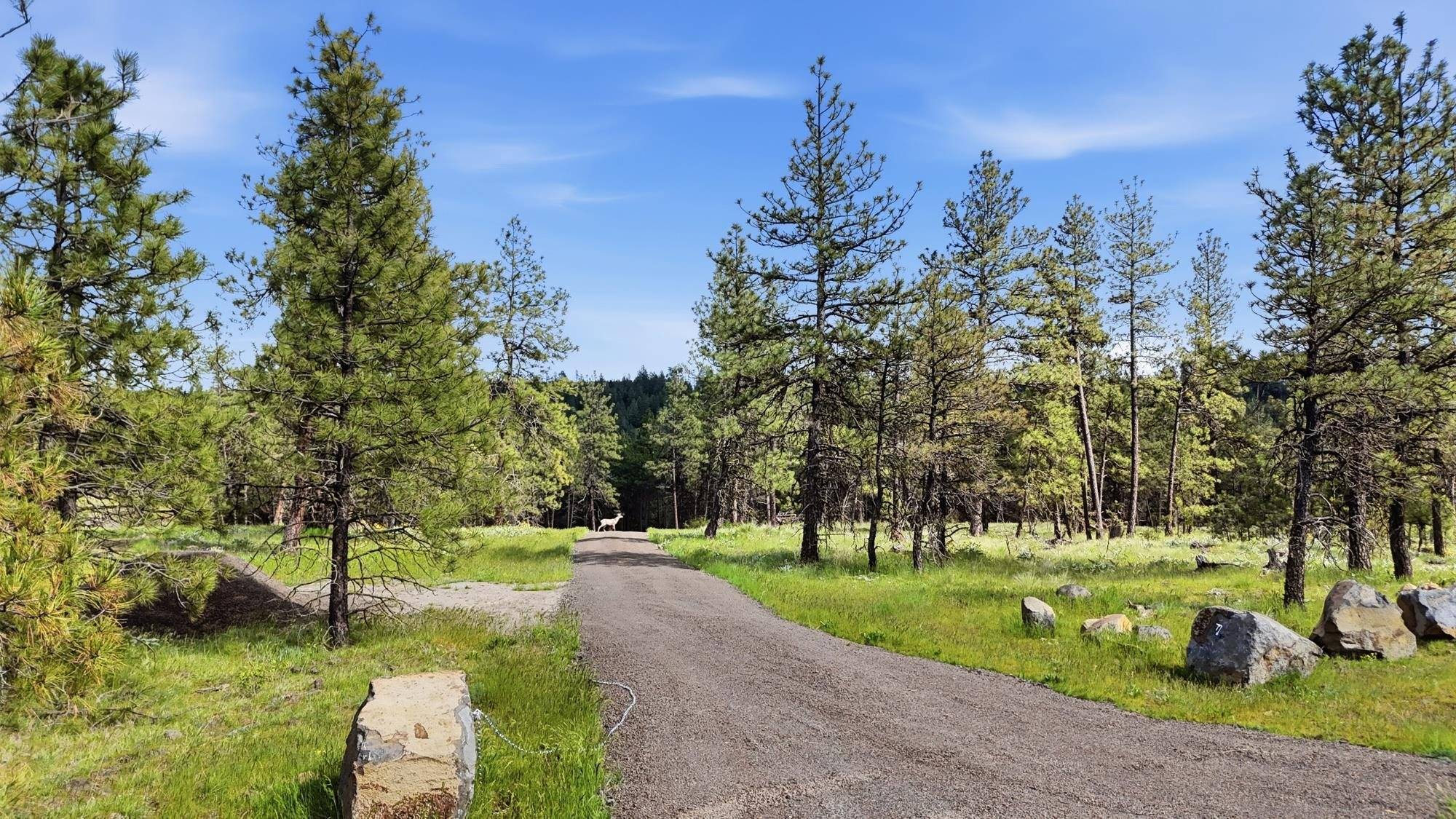 00 N Chris Ln, Medical Lake, WA 99022