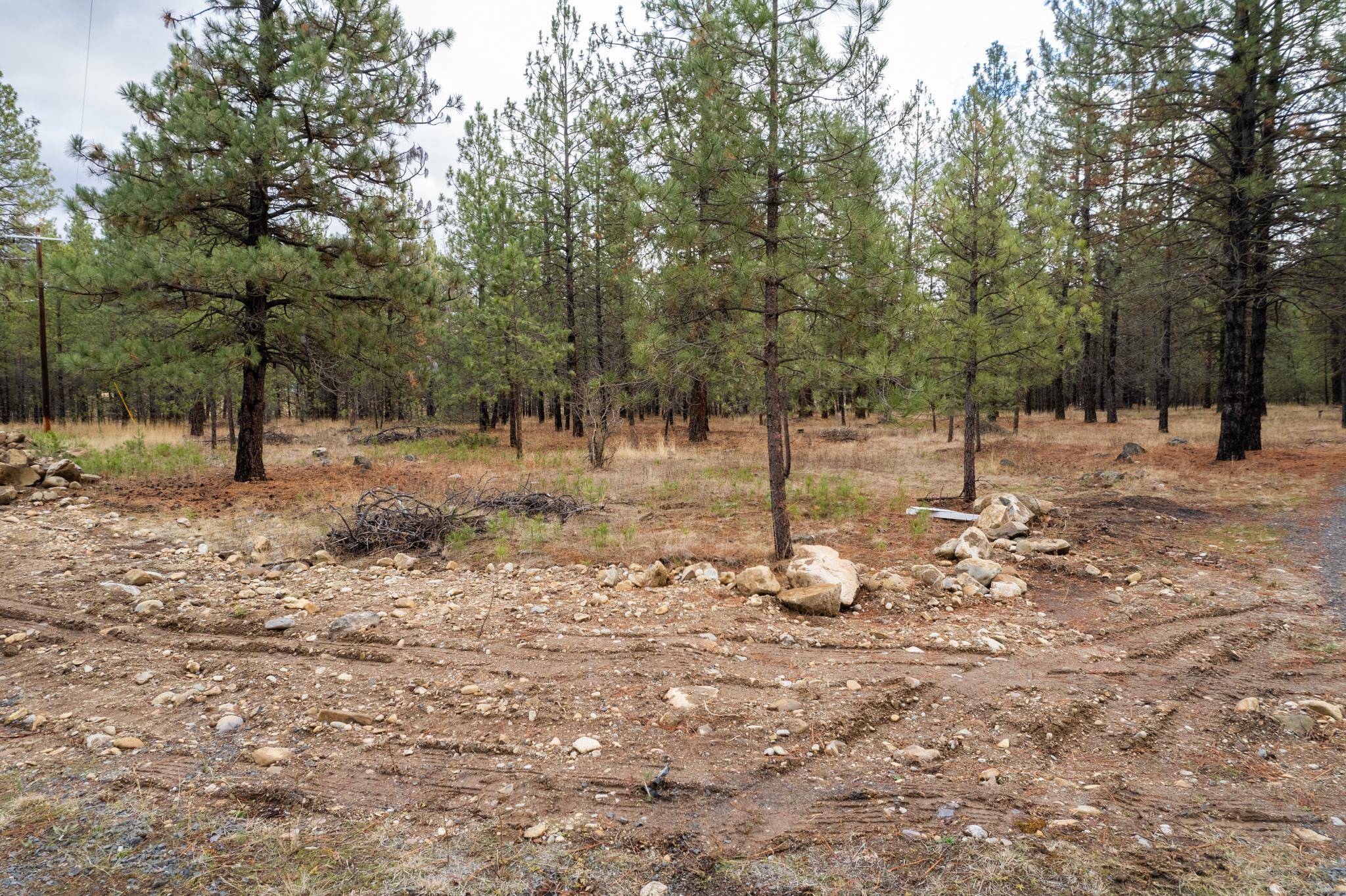 52282 Woods Ln, Ford, WA 99013