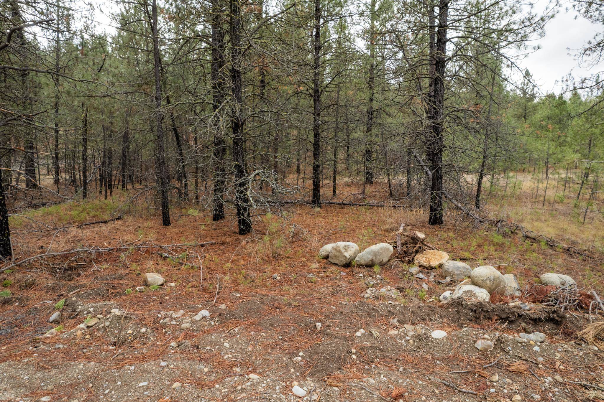 52282 Woods Ln, Ford, WA 99013