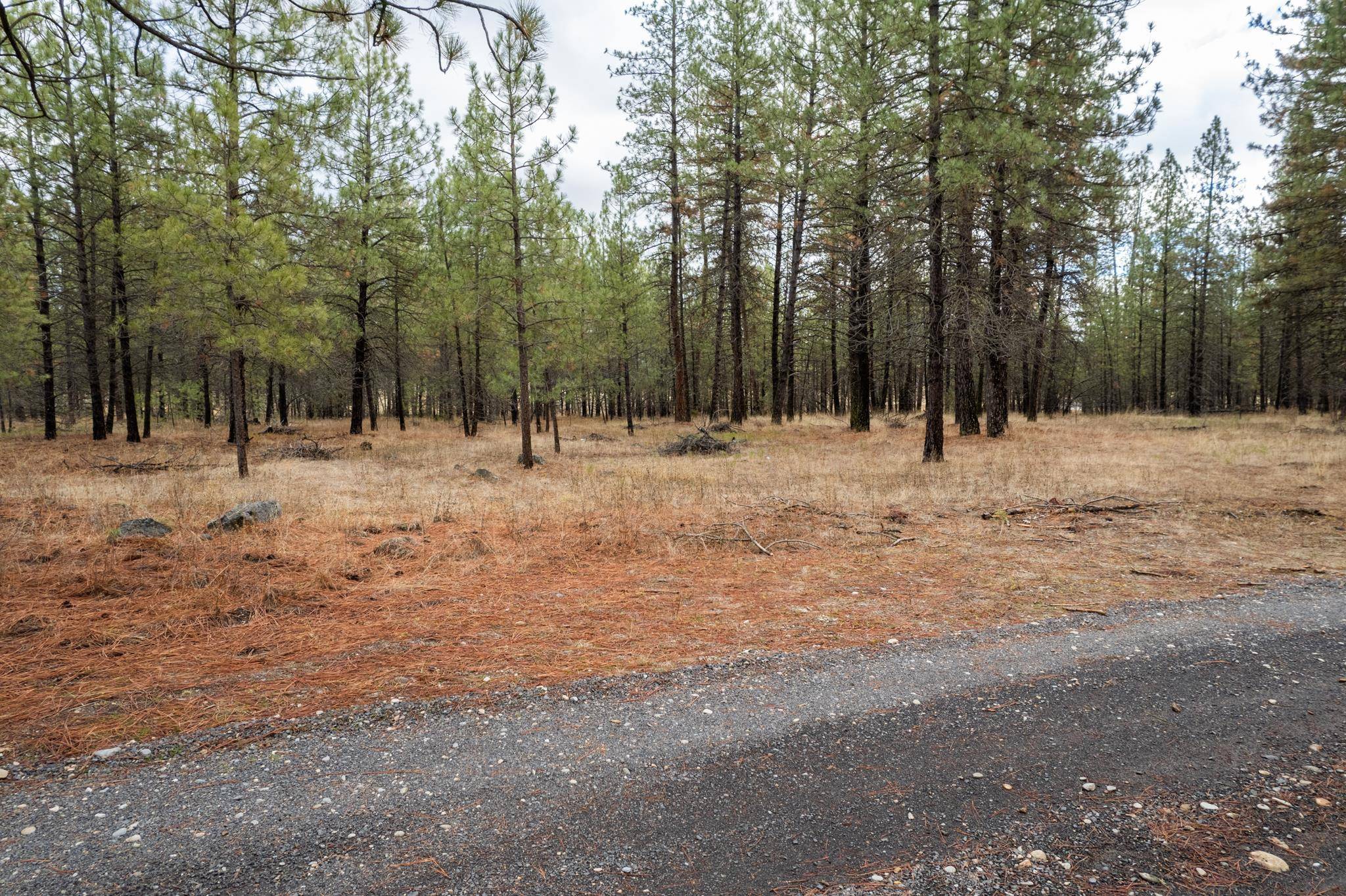 52282 Woods Ln, Ford, WA 99013