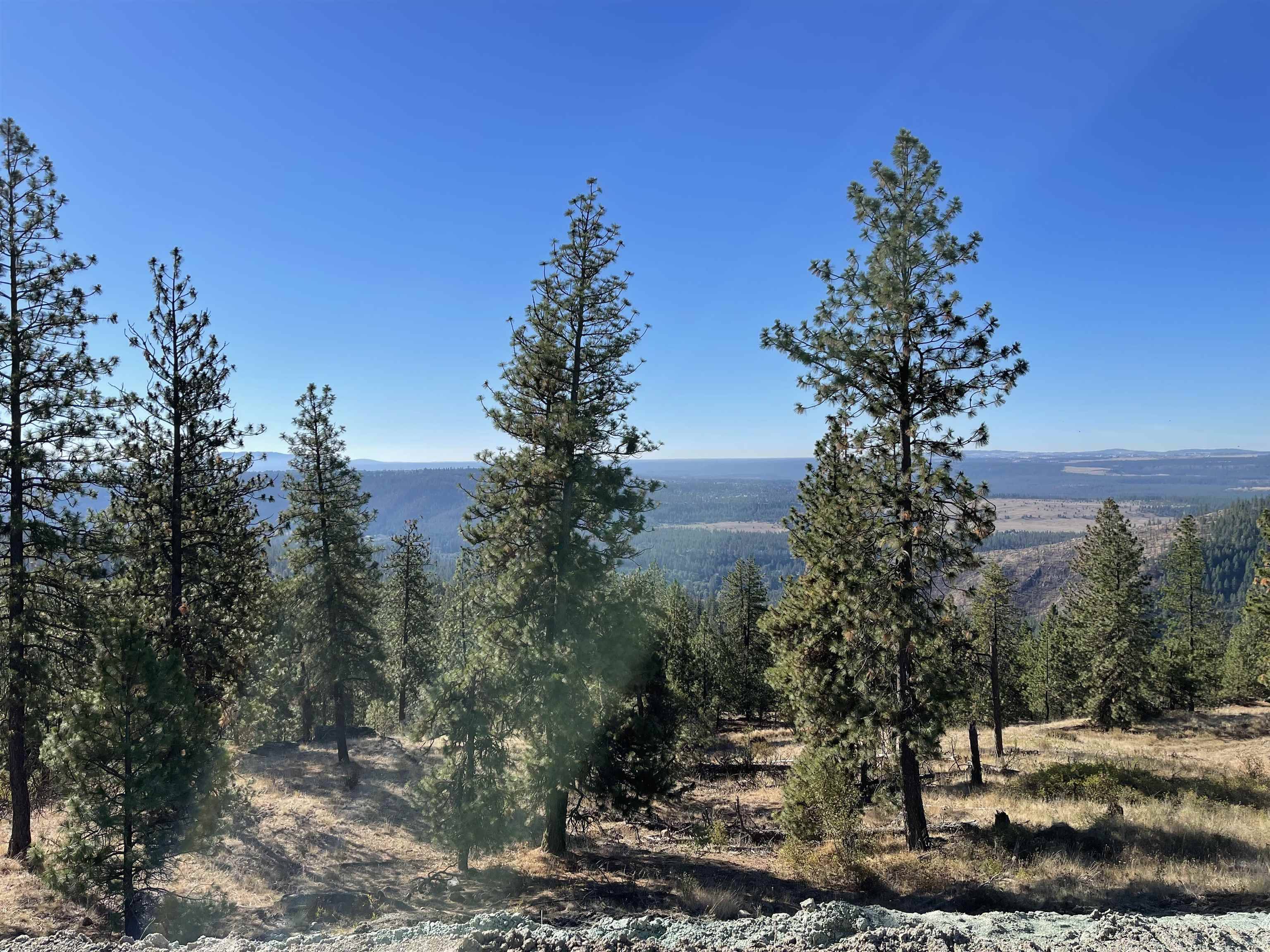 16221 N Soren Ln, Spokane, WA 99208