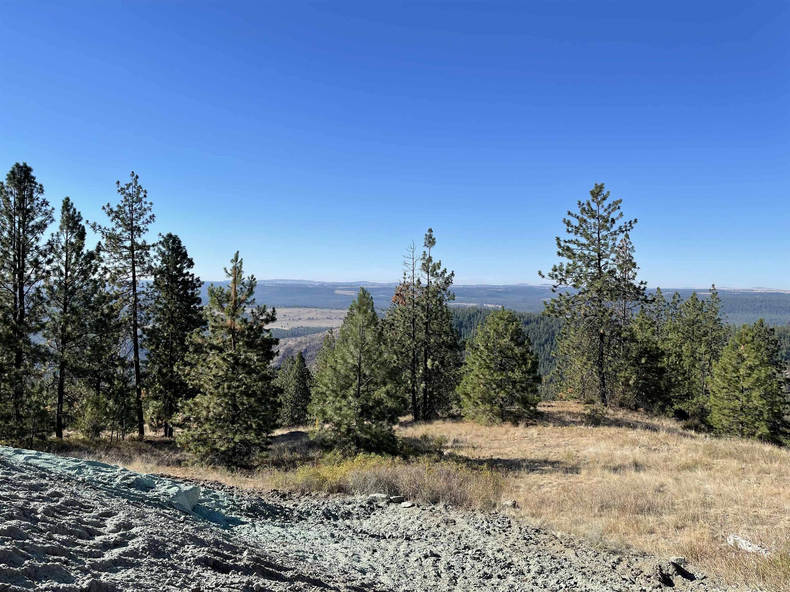 16221 N Soren Ln, Spokane, WA 99208