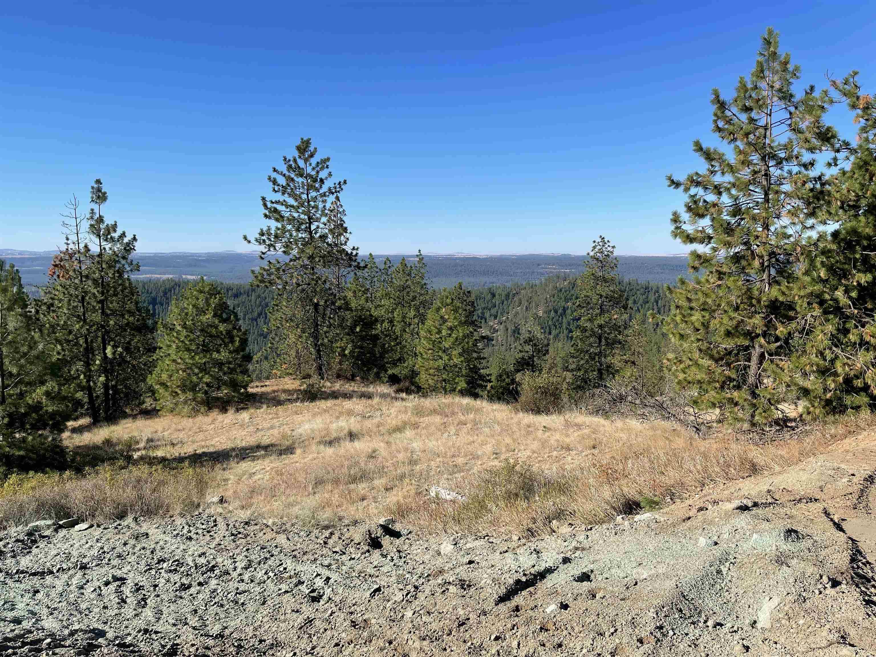 16221 N Soren Ln, Spokane, WA 99208