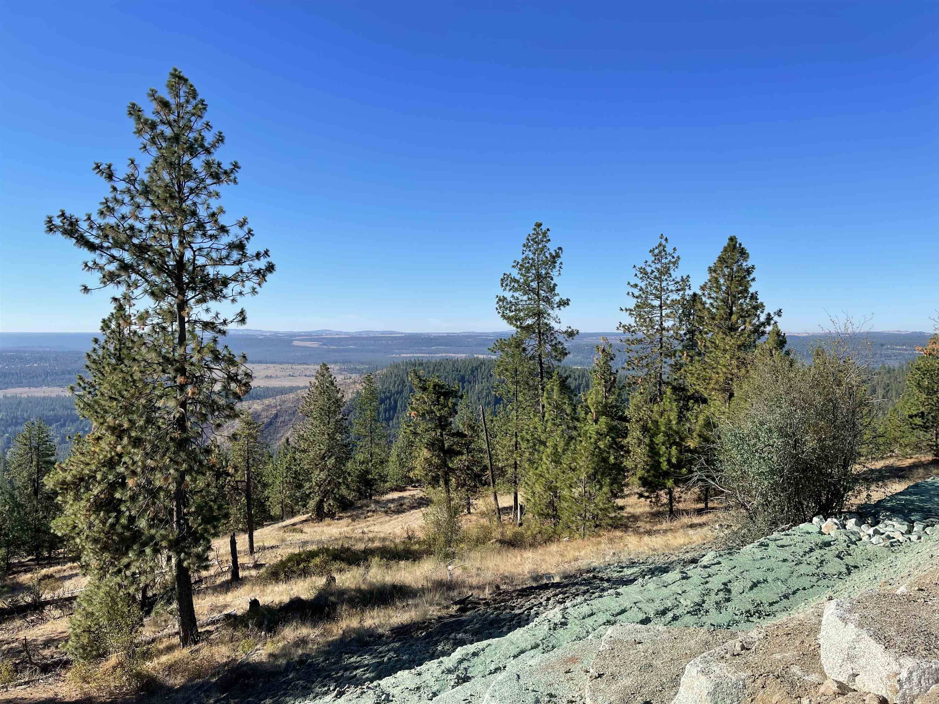 16221 N Soren Ln, Spokane, WA 99208