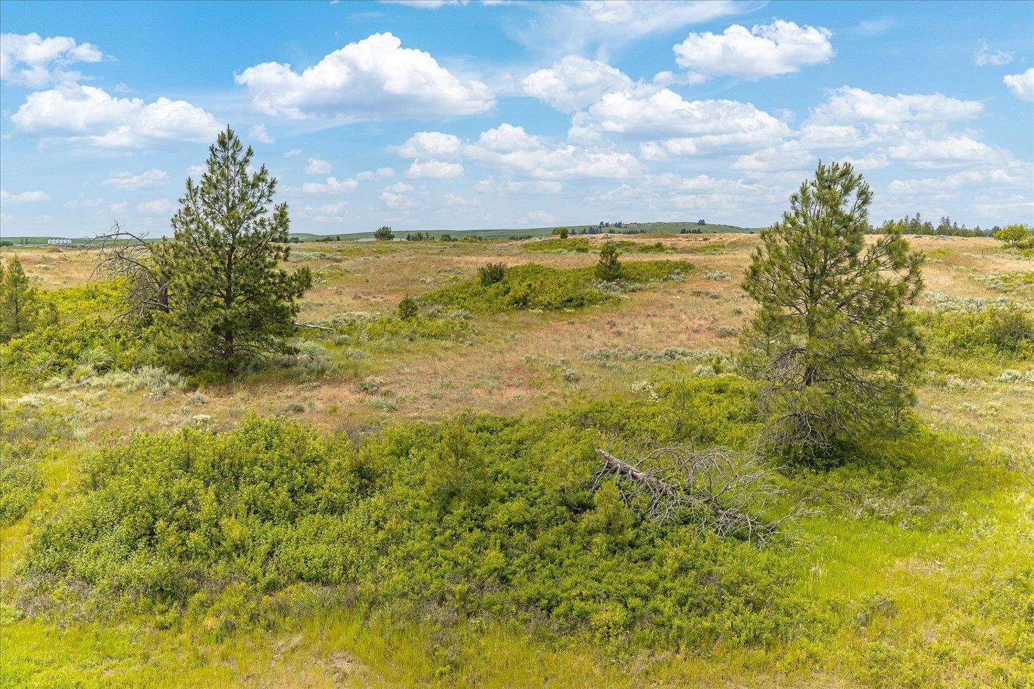 0 N Brooks Rd, Medical Lake, WA 99022