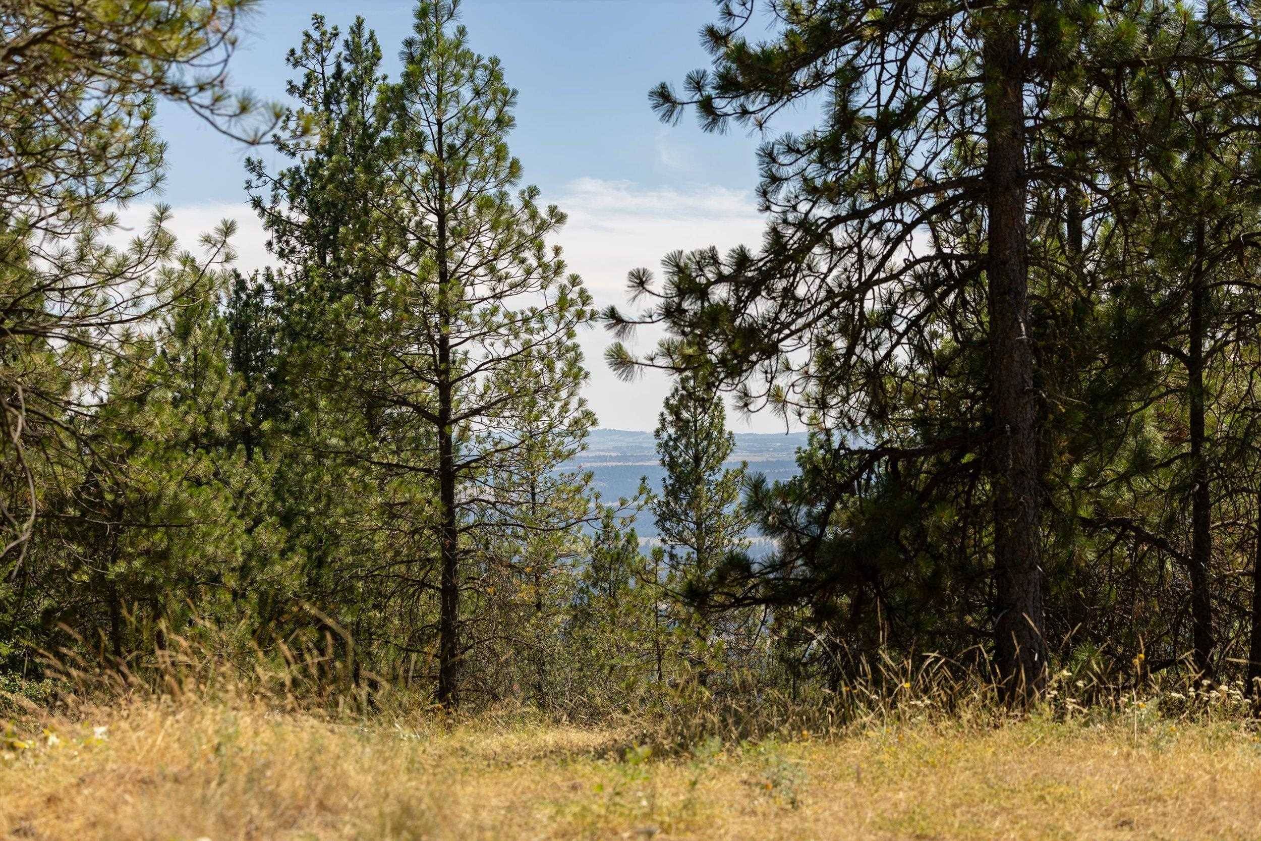 16500 N Abigail Ln, Spokane, WA 99208