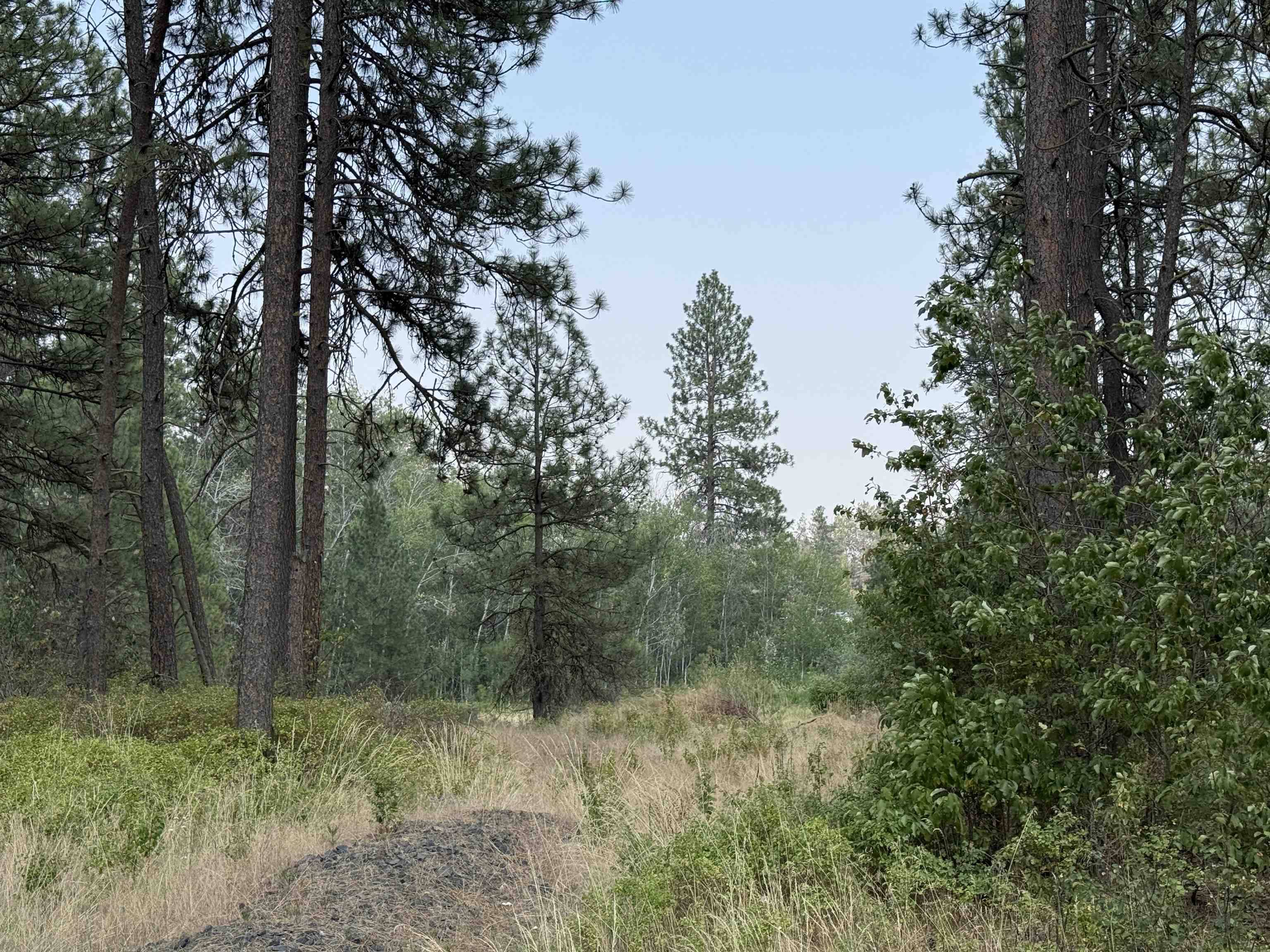 5.11 AC W Malloy Prairie Rd, Cheney, WA 99004
