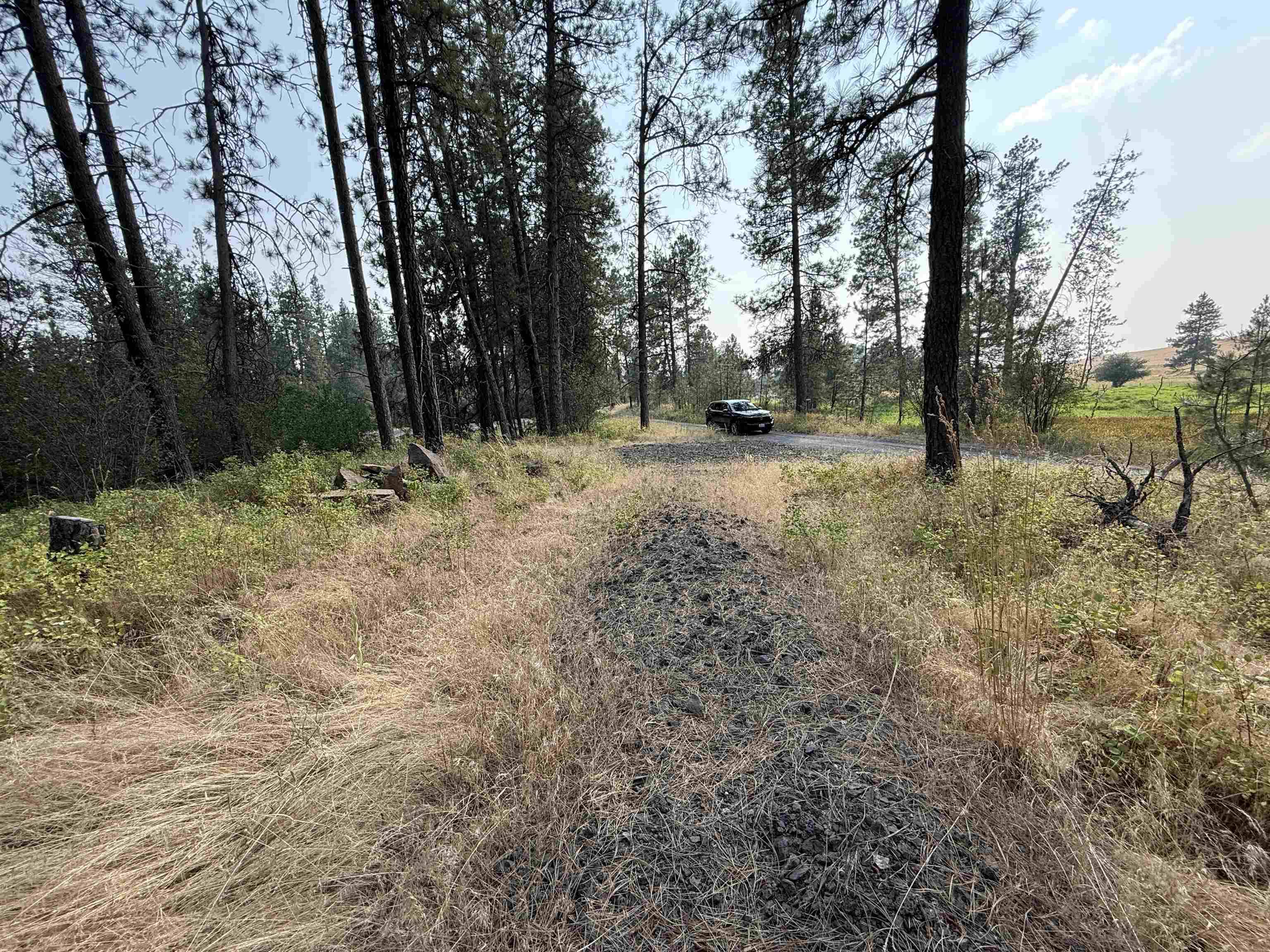 5.11 AC W Malloy Prairie Rd, Cheney, WA 99004