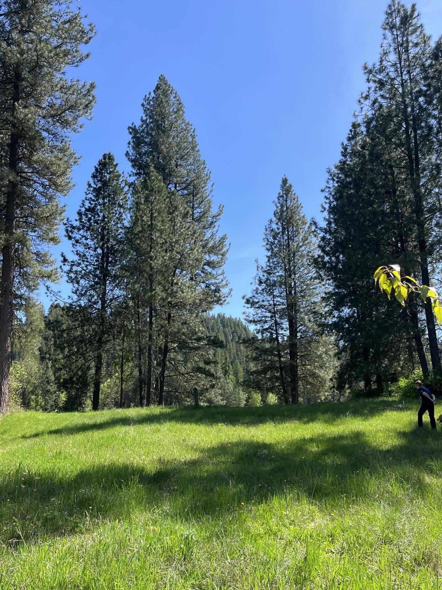 361 Dilling Dr, Cusick, WA 99119