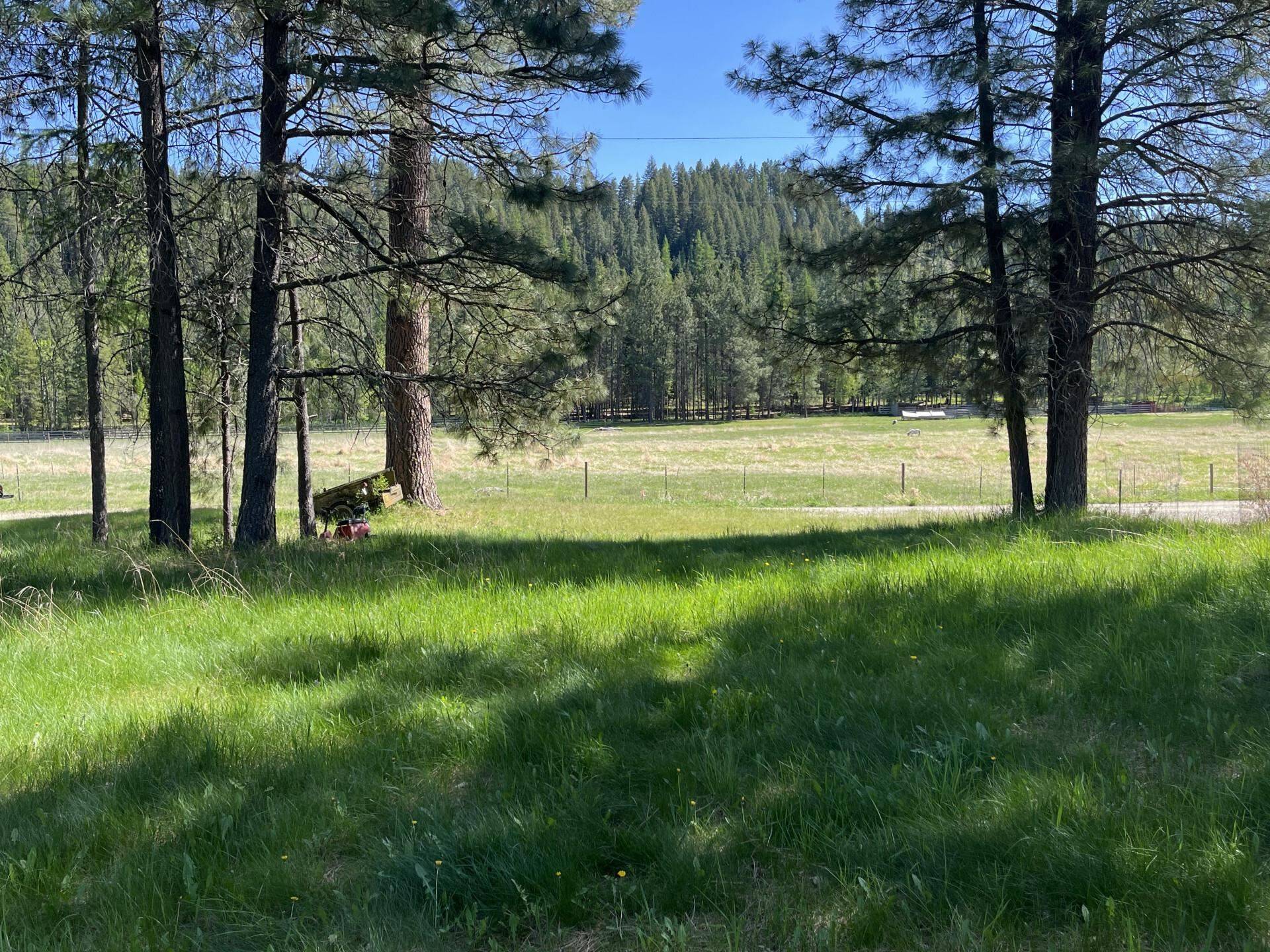 361 Dilling Dr, Cusick, WA 99119