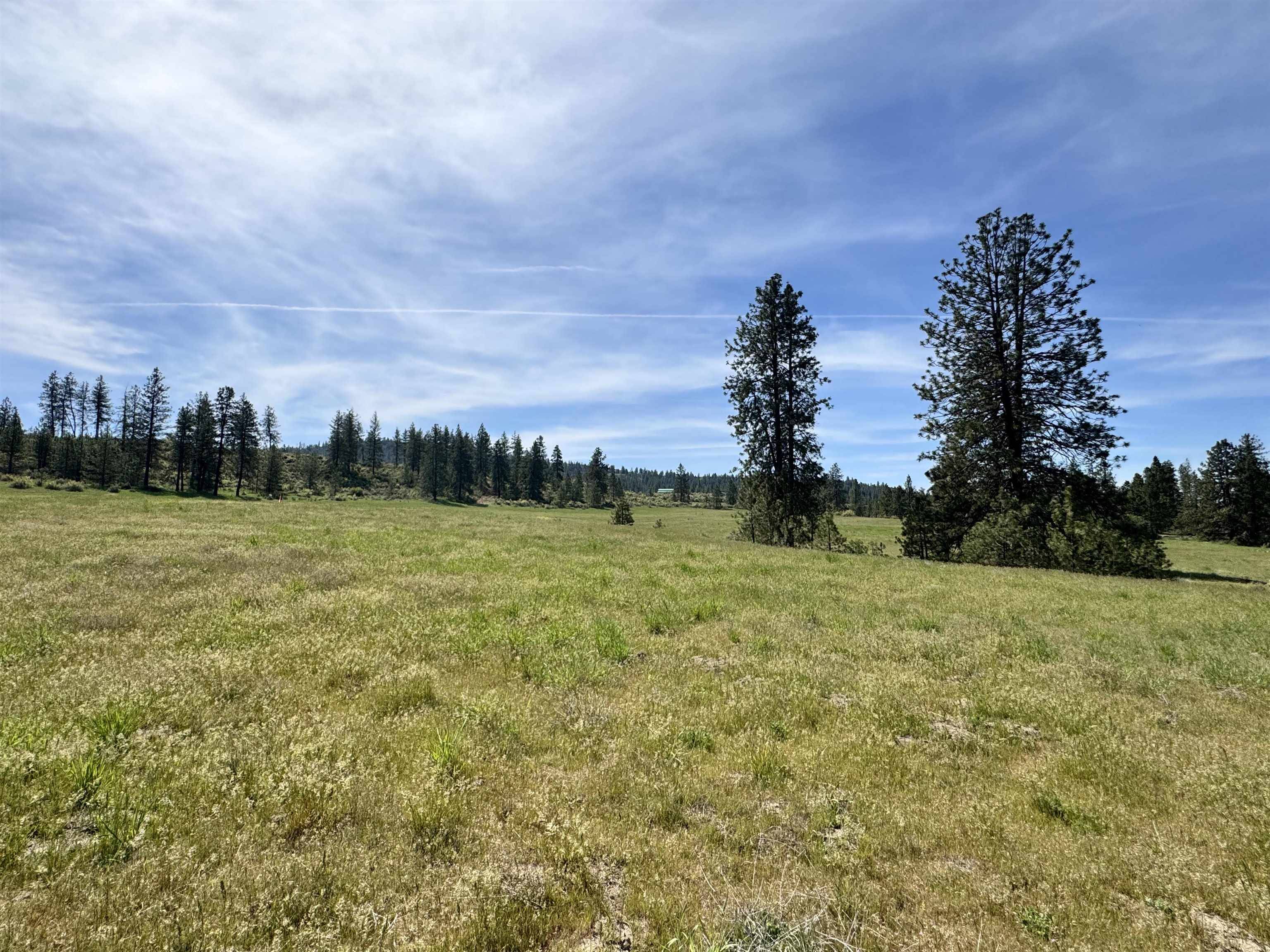 31625 E Hume Rd, Davenport, WA 99122