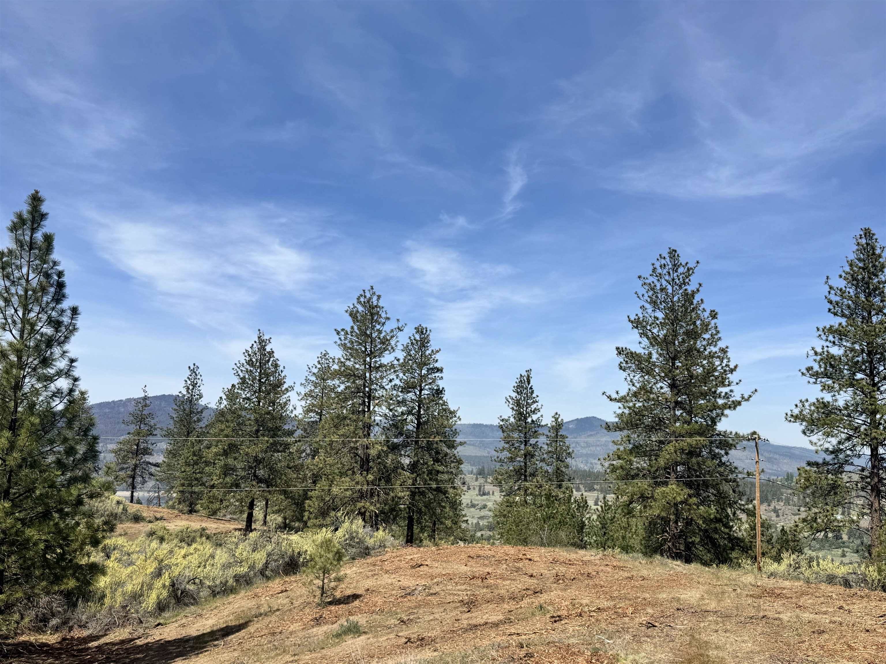 31625 E Hume Rd, Davenport, WA 99122