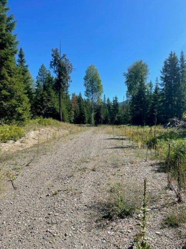 3XX Lot 10 N Leclerc Rd, Ione, WA 99139