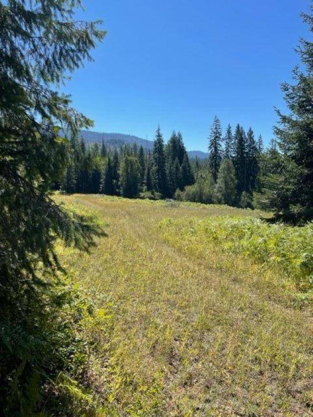 3XX Lot 10 N Leclerc Rd, Ione, WA 99139