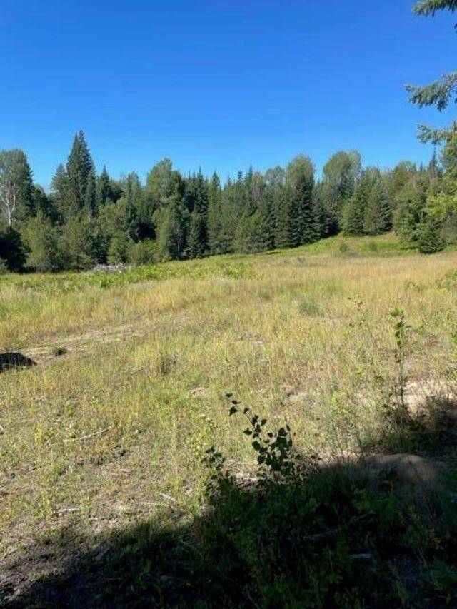 3XX Lot 12 N Leclerc Rd, Ione, WA 99139
