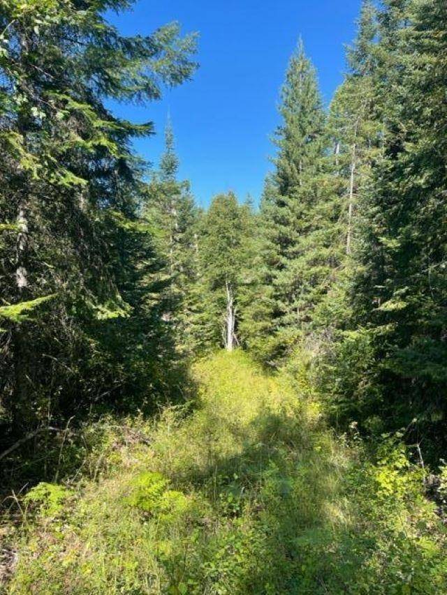 3XX Lot 13 N Leclerc Rd, Ione, WA 99139