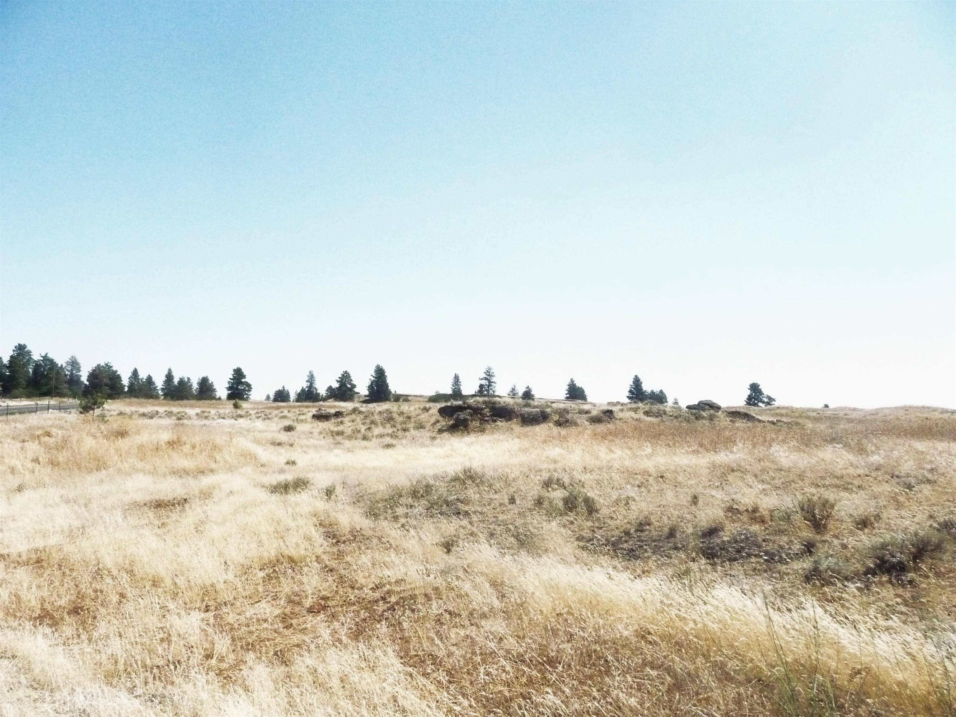 NA 0000 W Williams Lake Rd, Cheney, WA 99004