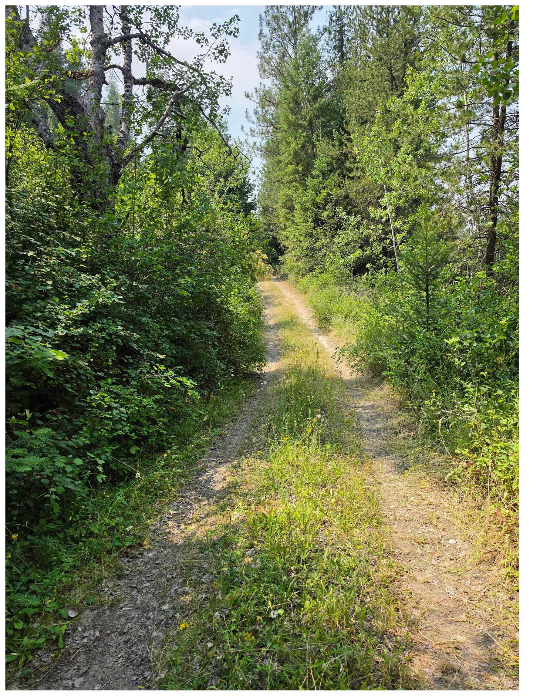 NNA HWY 20 & MC CLOUD CREEK Rd, Newport, WA 99156