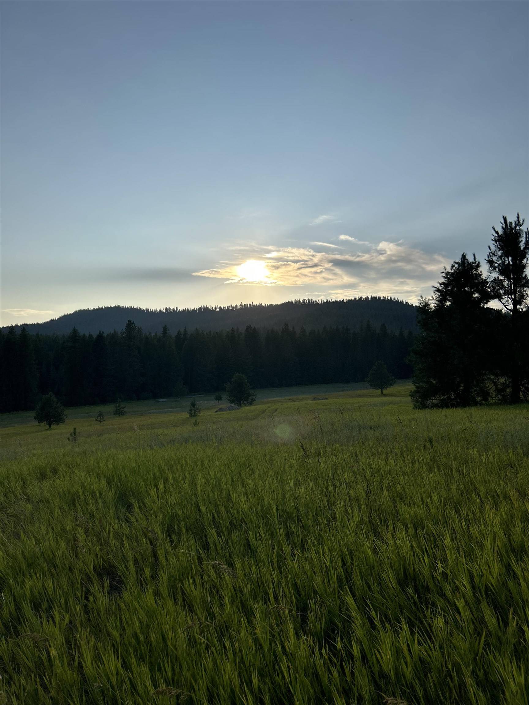 4435 Whittier (Lot 1) Rd, Clayton, WA 99110