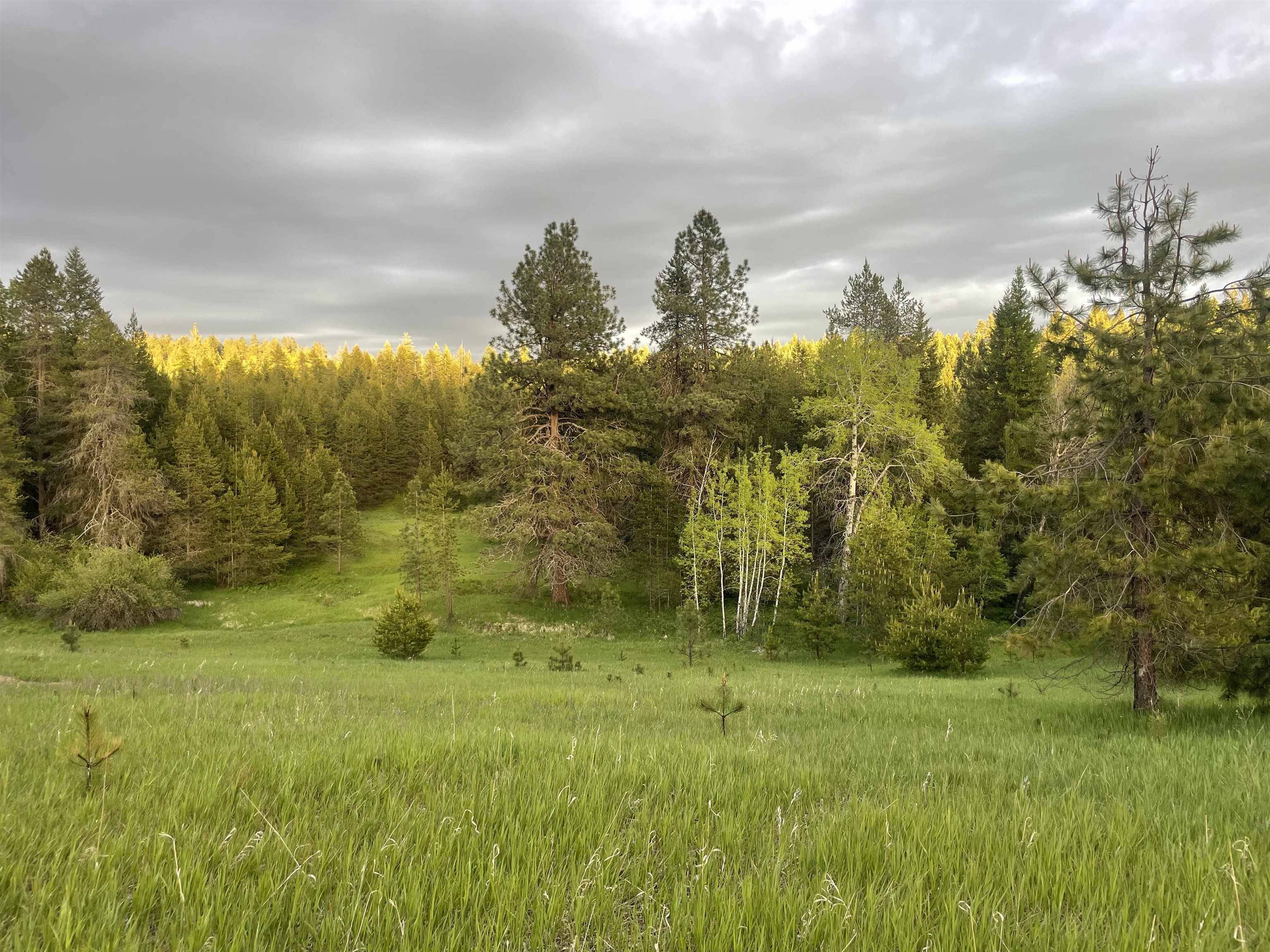 4435 Whittier (Lot 2) Rd, Clayton, WA 99110