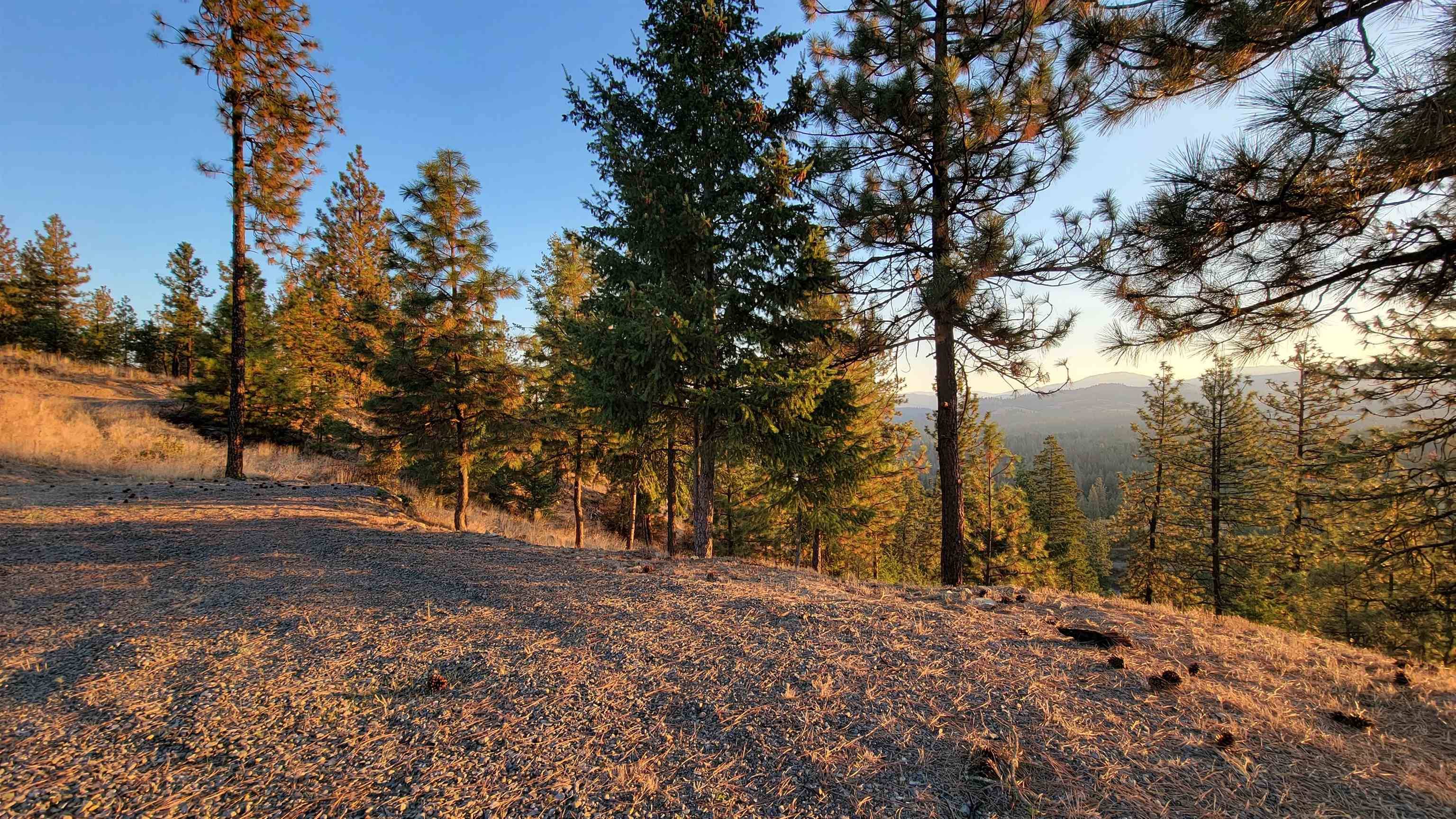 5300 Moose Tracks WAY, Fruitland, WA 99129-1234