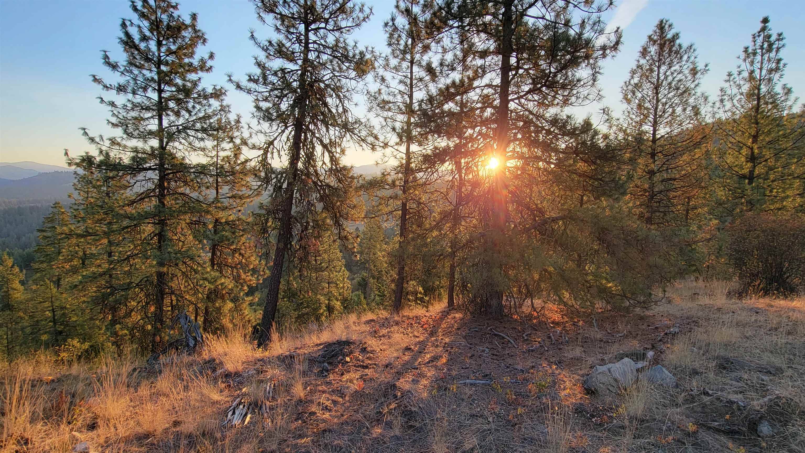 5300 Moose Tracks WAY, Fruitland, WA 99129-1234