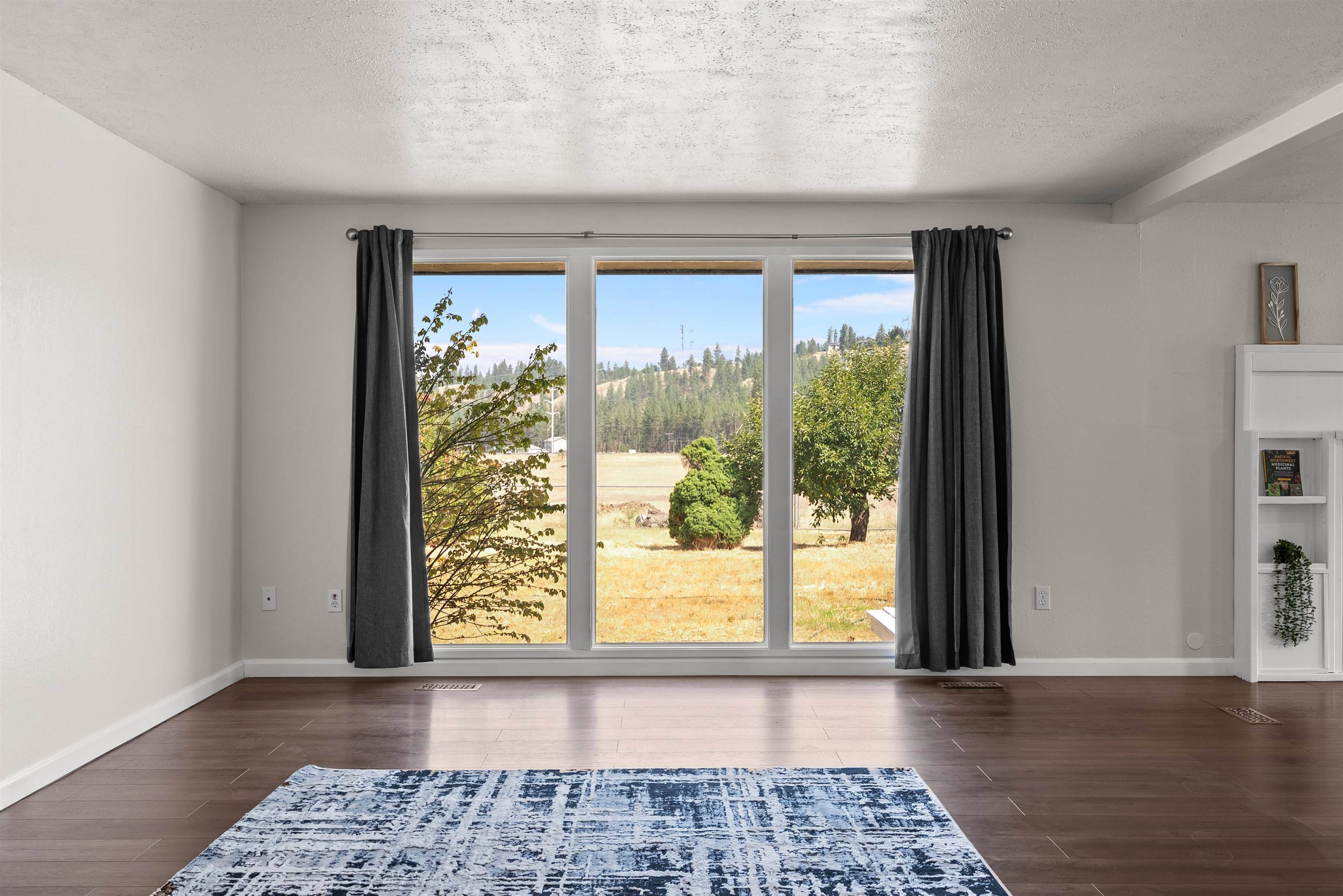 6806 W Johannsen Ave, Nine Mile Falls, WA 99026