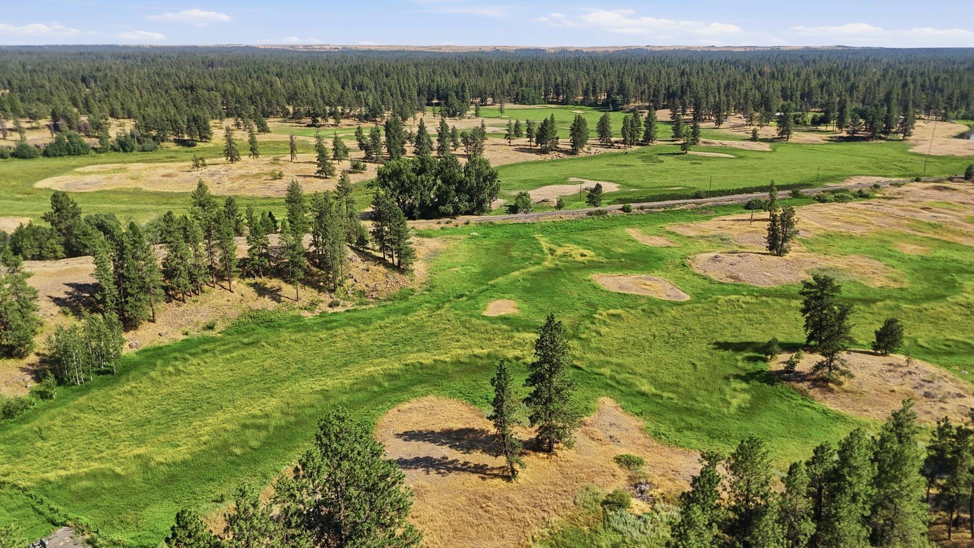 11900Blk S CHENEY-PLAZA Rd, Cheney, WA 99004
