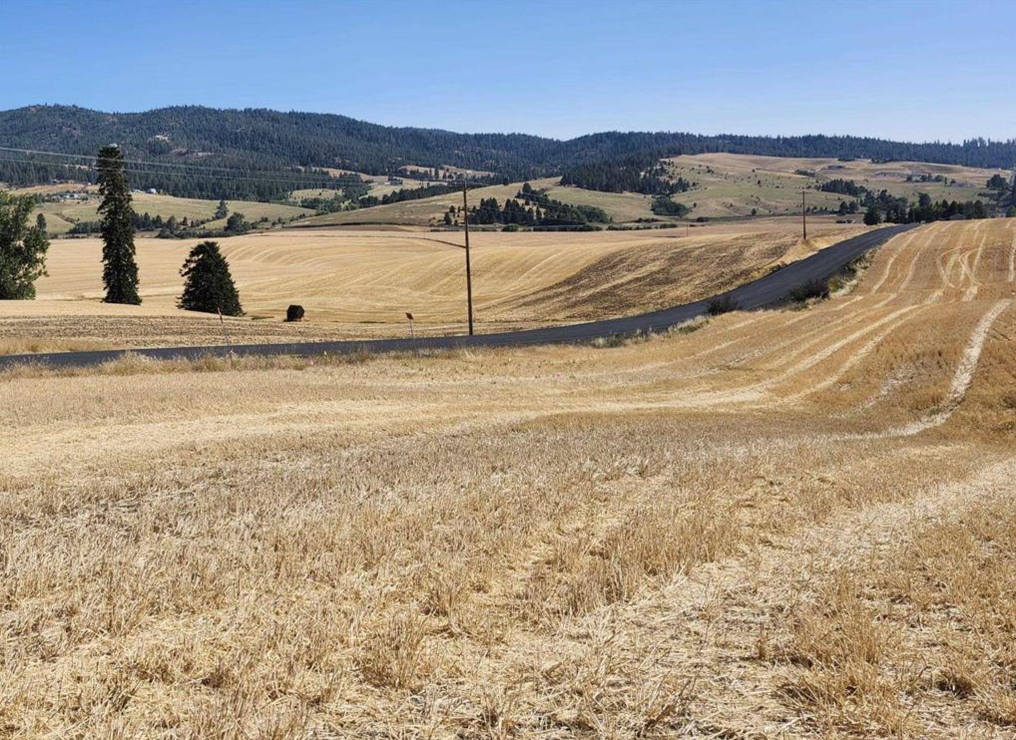 Jackson S 8006 Rd, Mica, WA 99023
