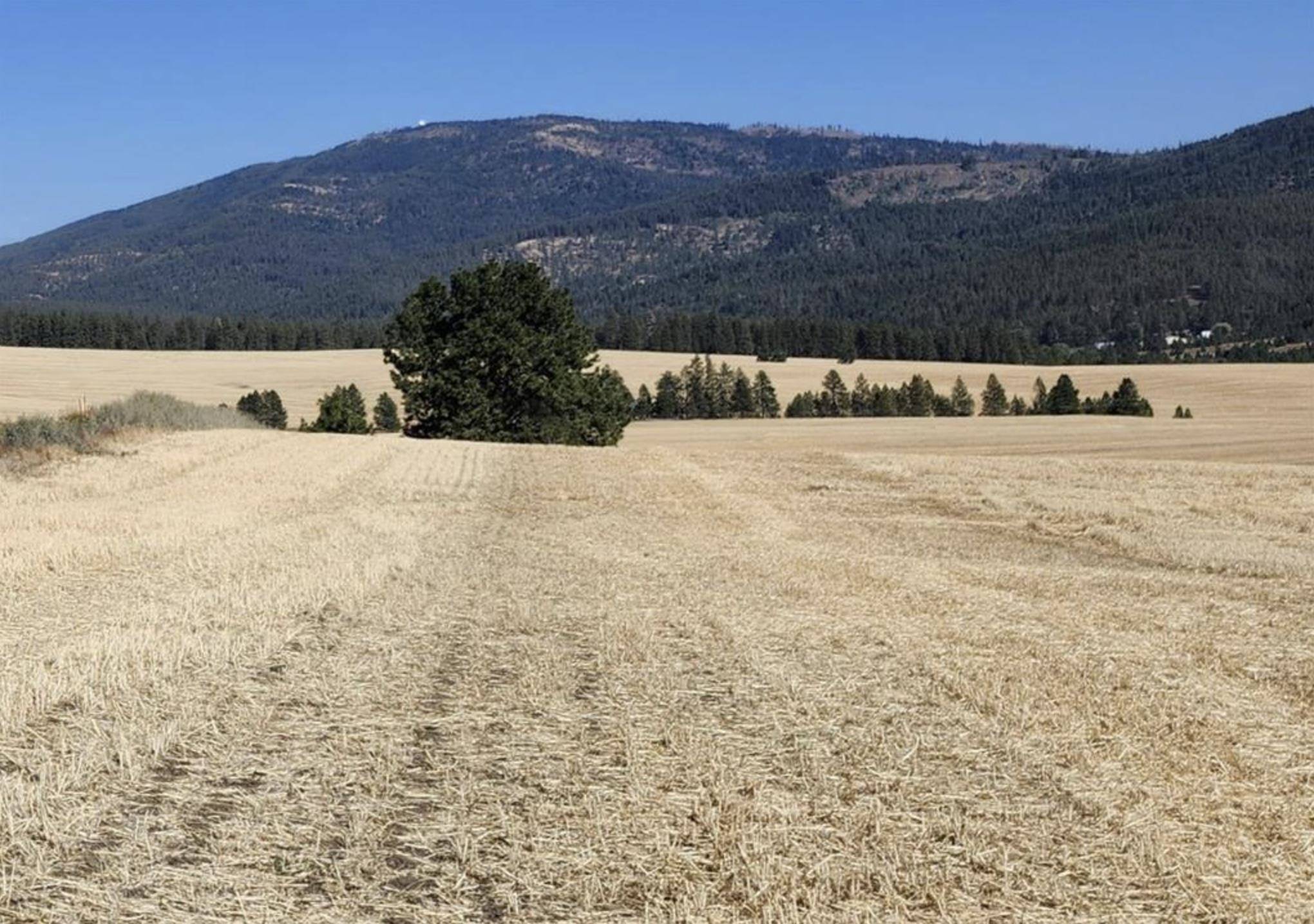 Jackson S 8006 Rd, Mica, WA 99023