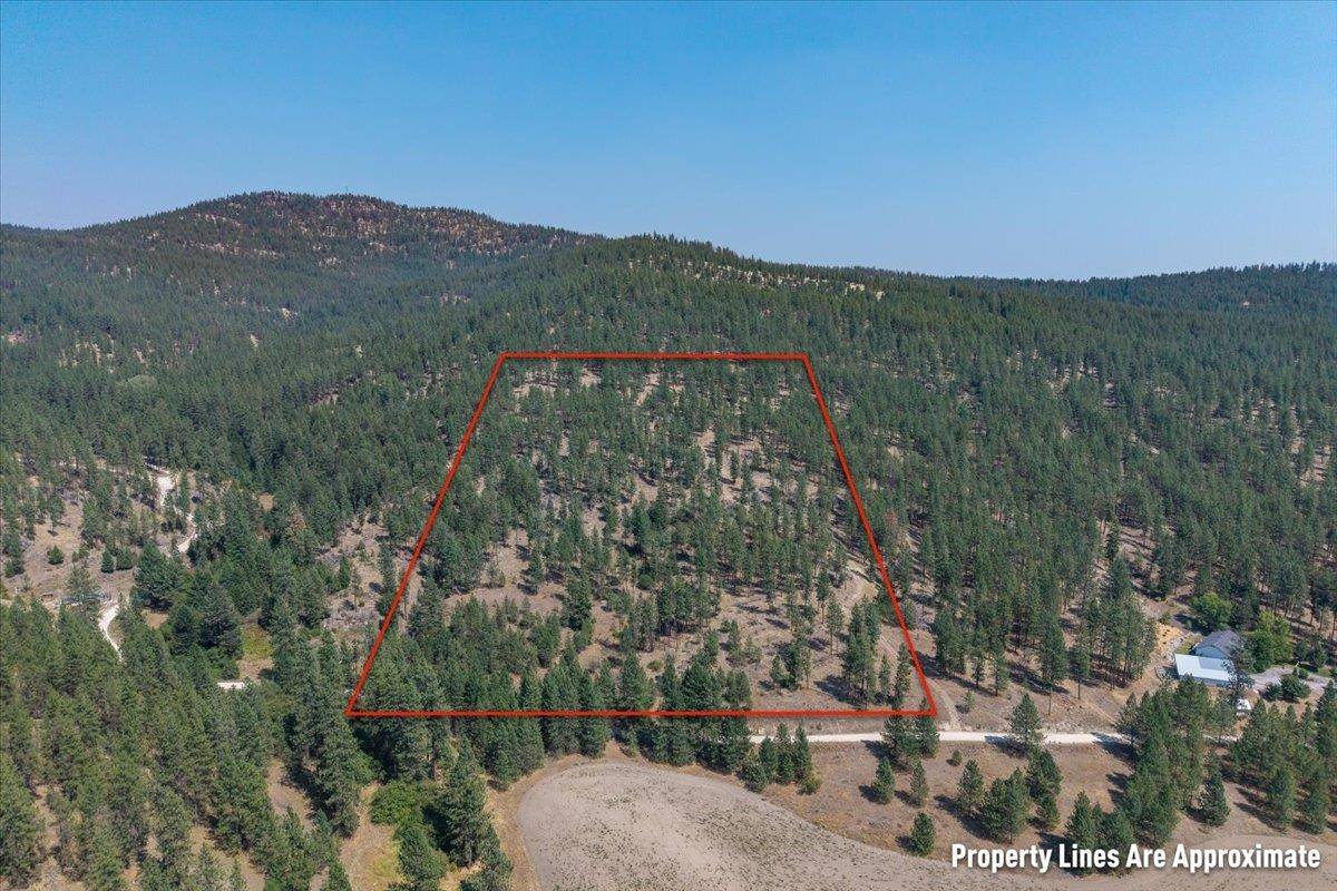 5687X Corkscrew Canyon Rd, Tumtum, WA 99034