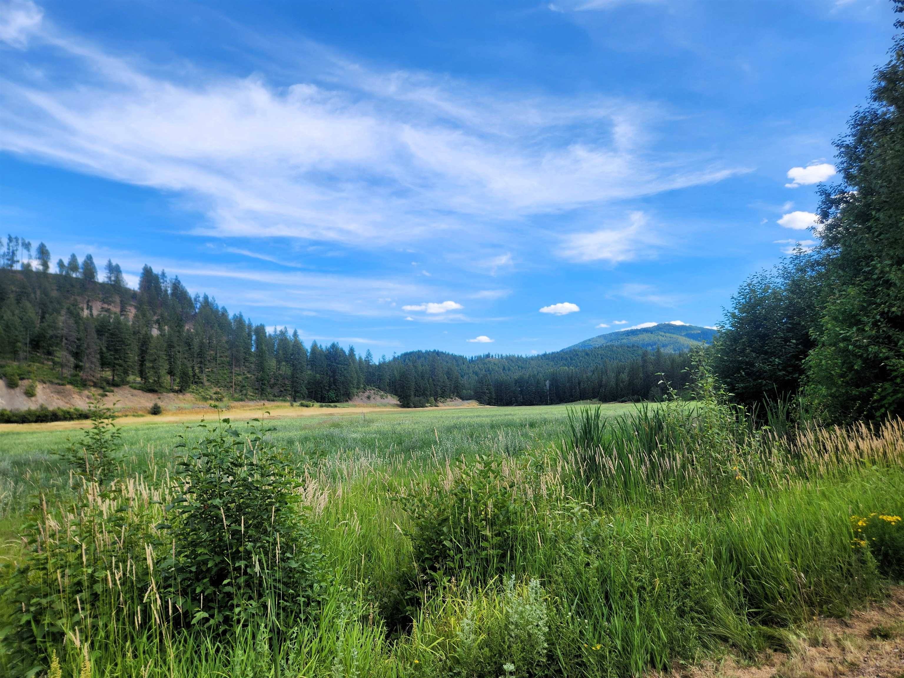 942 Basin Rd, Colville, WA 99114