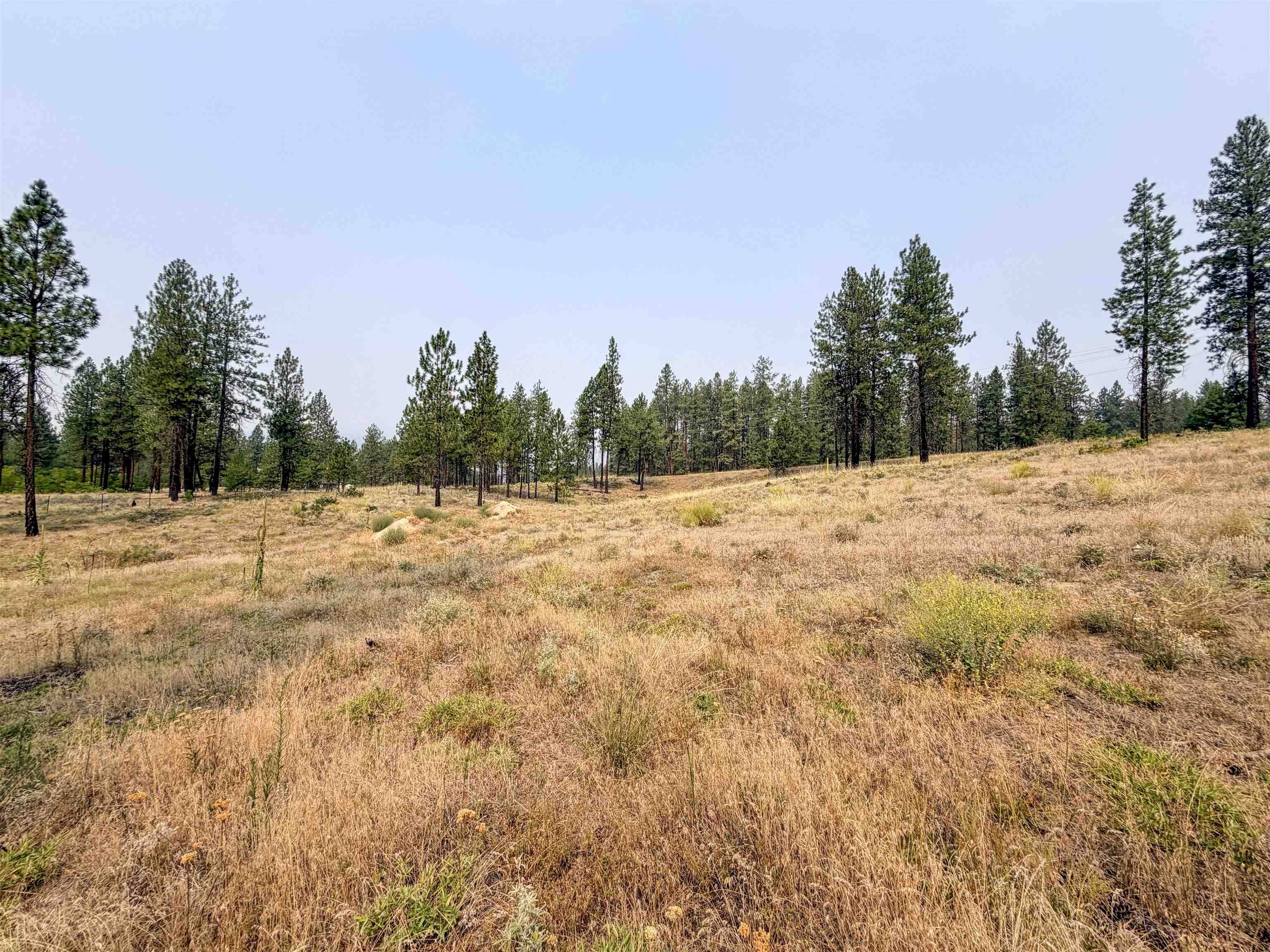 1315 Inez WAY, Kettle Falls, WA 99141