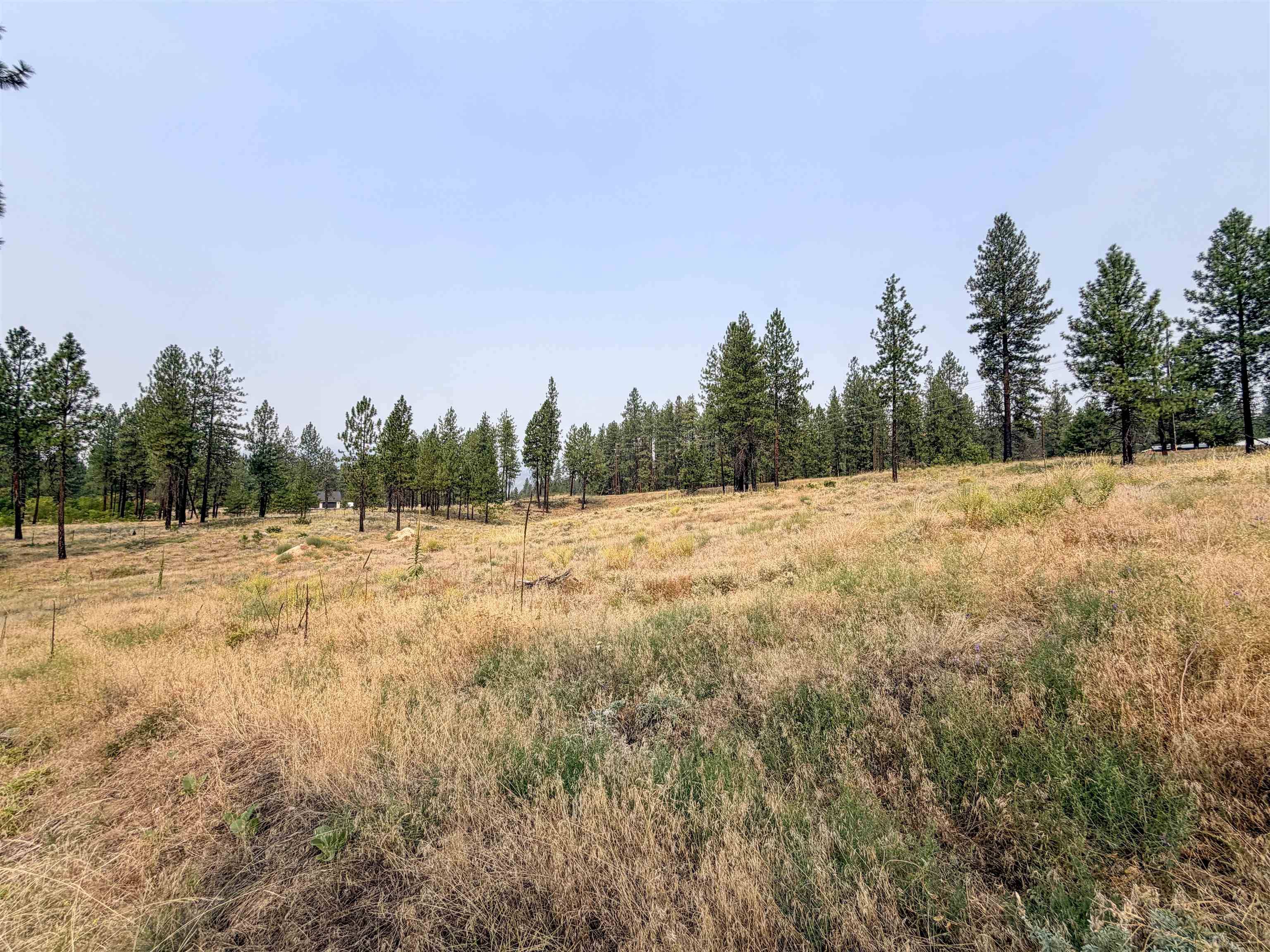 1315 Inez WAY, Kettle Falls, WA 99141